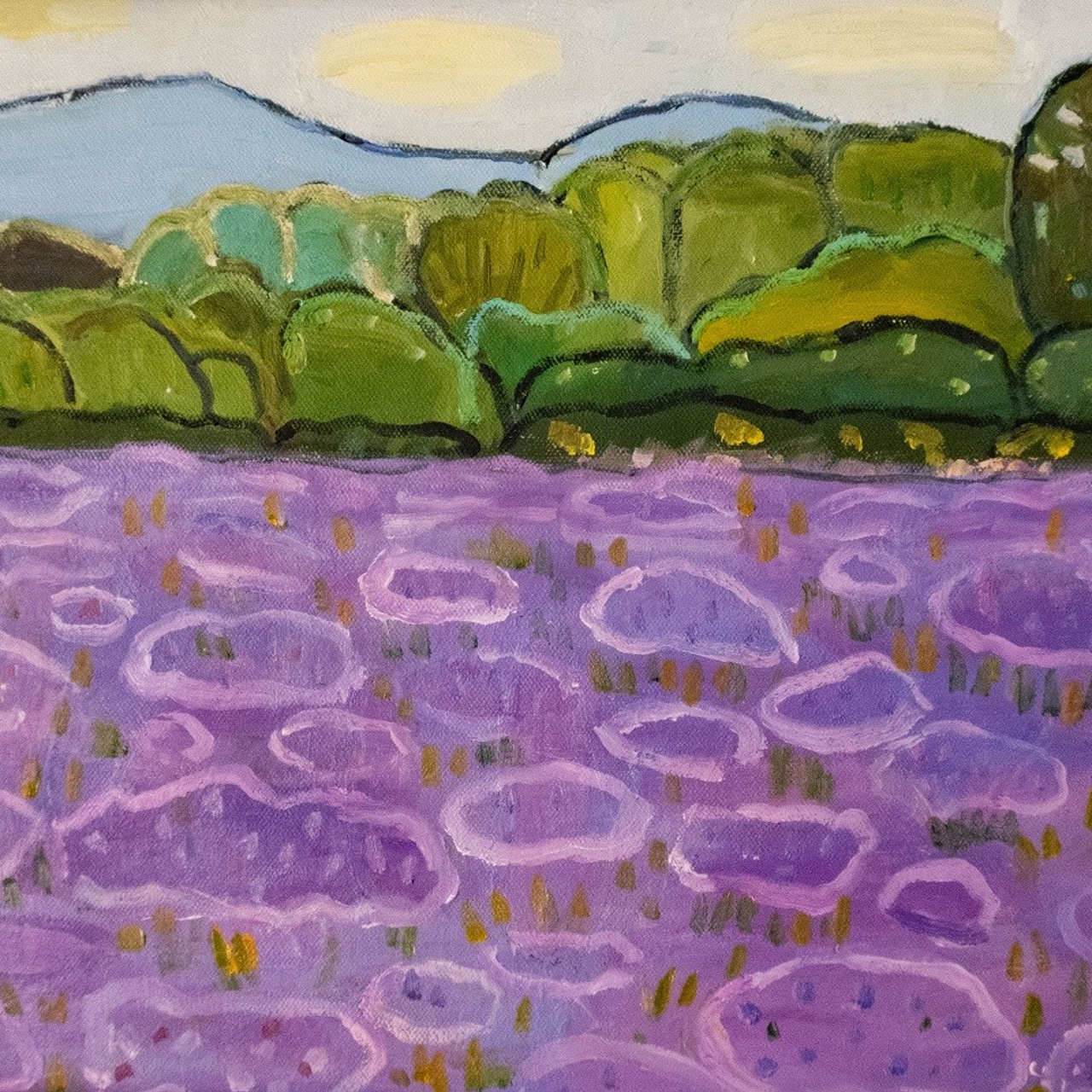 Фацелия в цвету. Художник, фотограф Ирина Тен