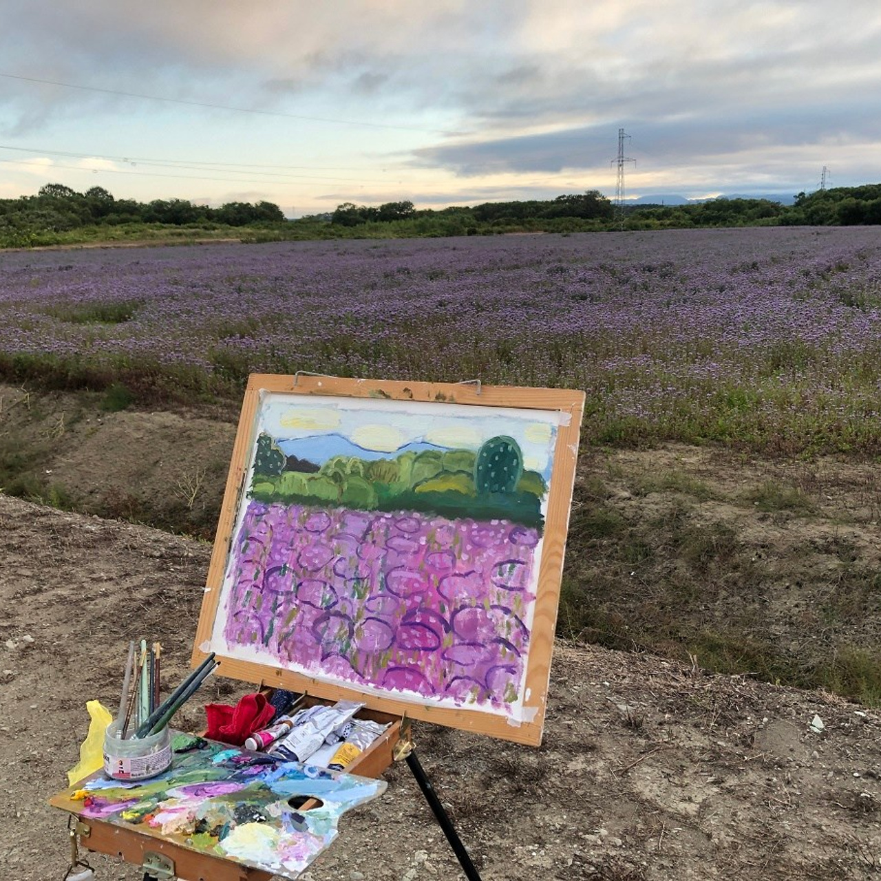 Фацелия в цвету. Художник, фотограф Ирина Тен