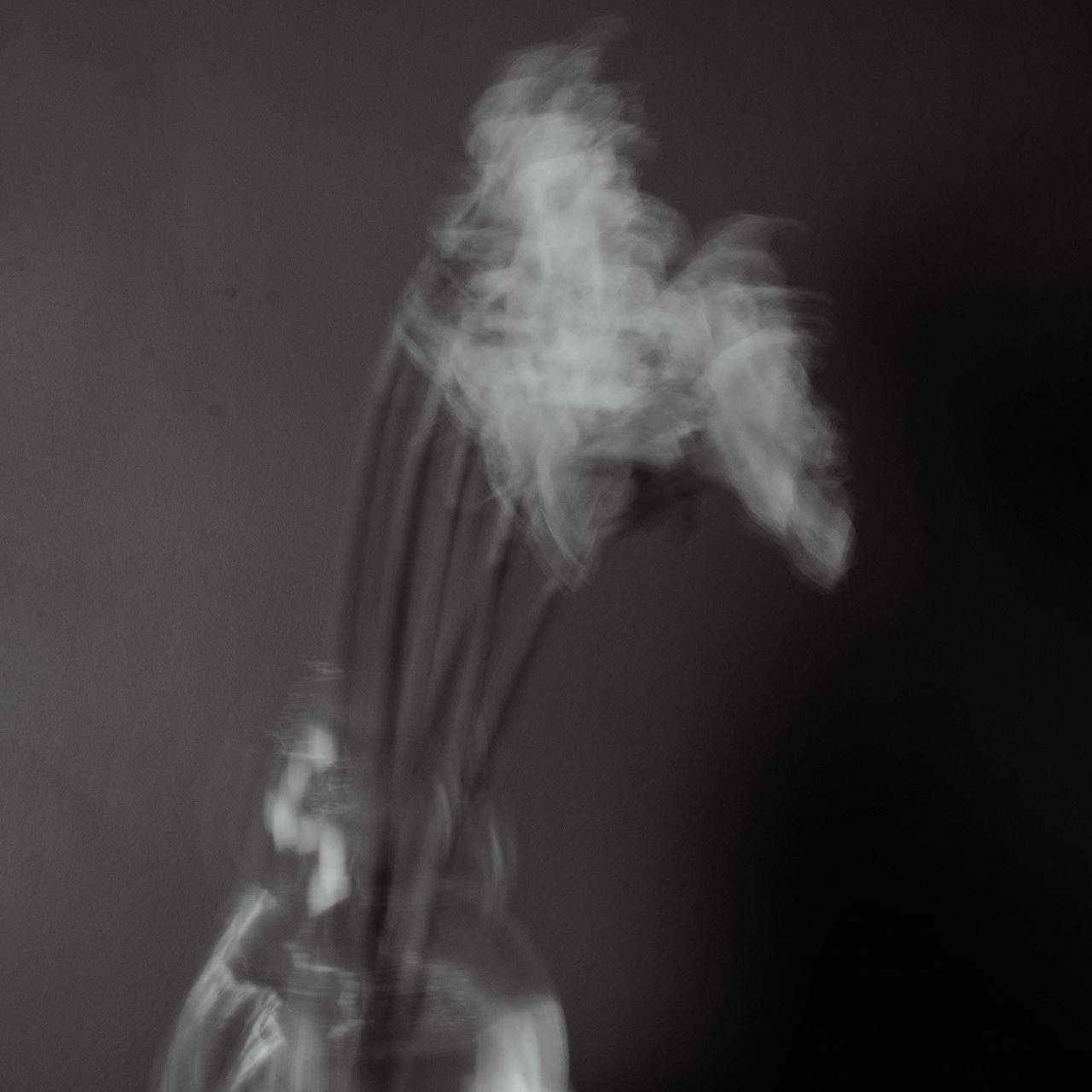 #6, серия "Нарциссы", цифровая печать, ограниченный тираж, 2025