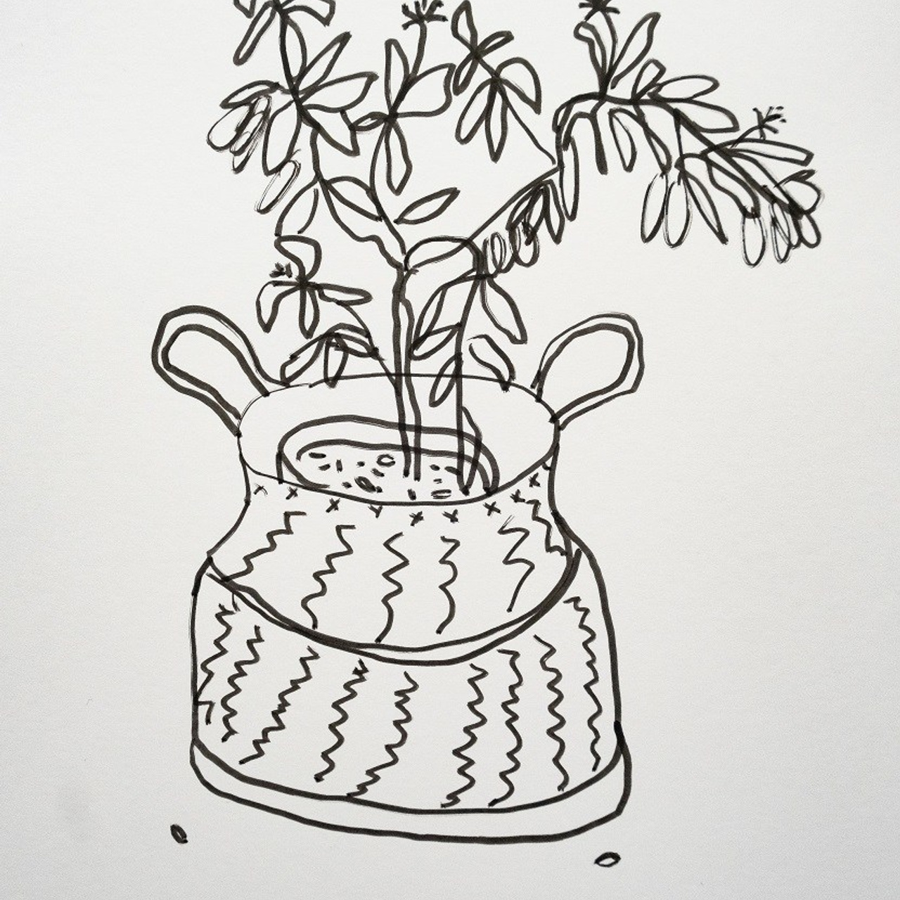 Фикус. Серия "Цветочки", бумага, маркер, 21х29,7, 2024.