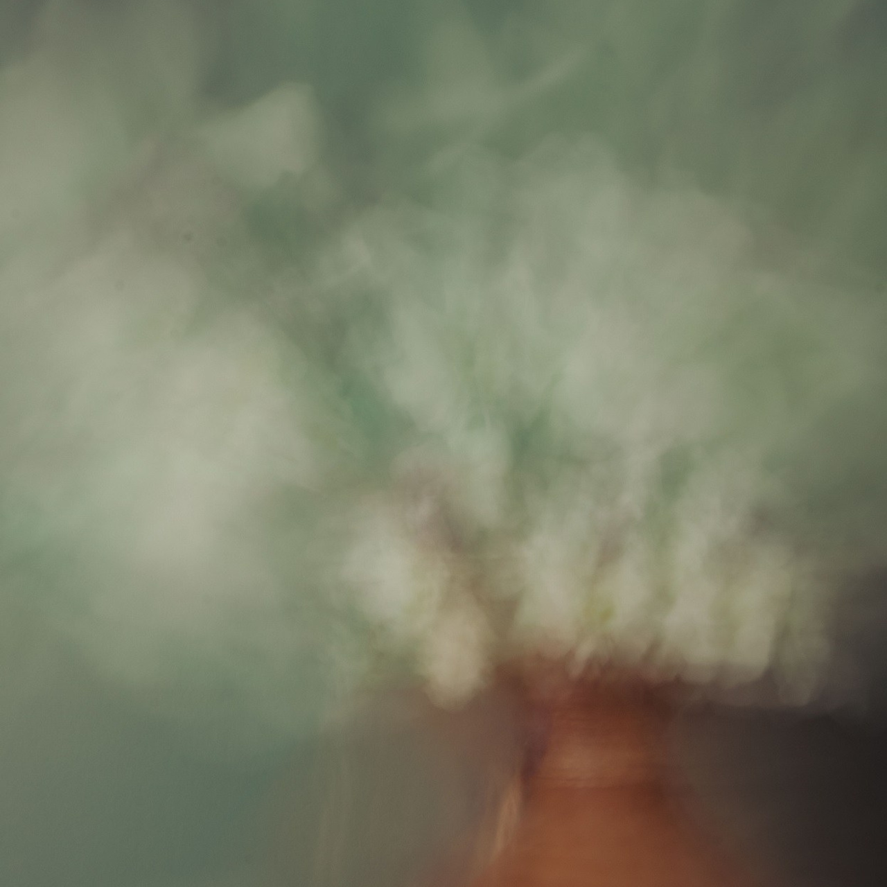 #7, серия "Нарциссы", цифровая печать, ограниченный тираж, 2025