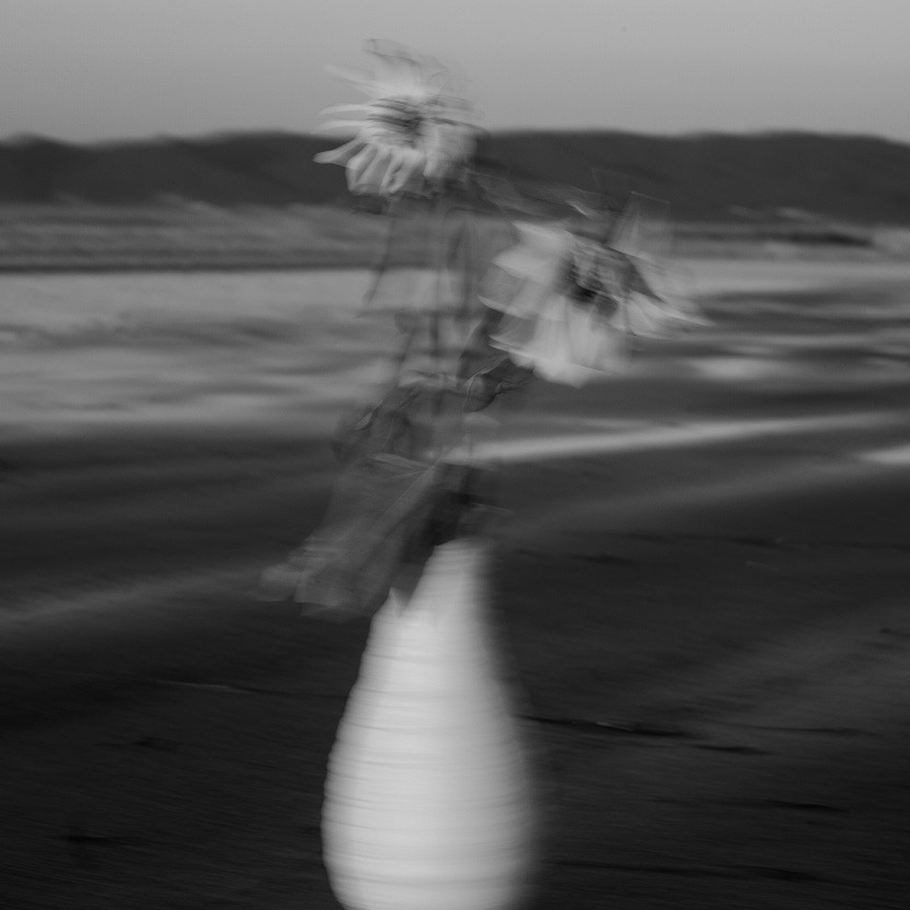 #7, серия "Подсолнухи", цифровая печать, ограниченный тираж, 2024.