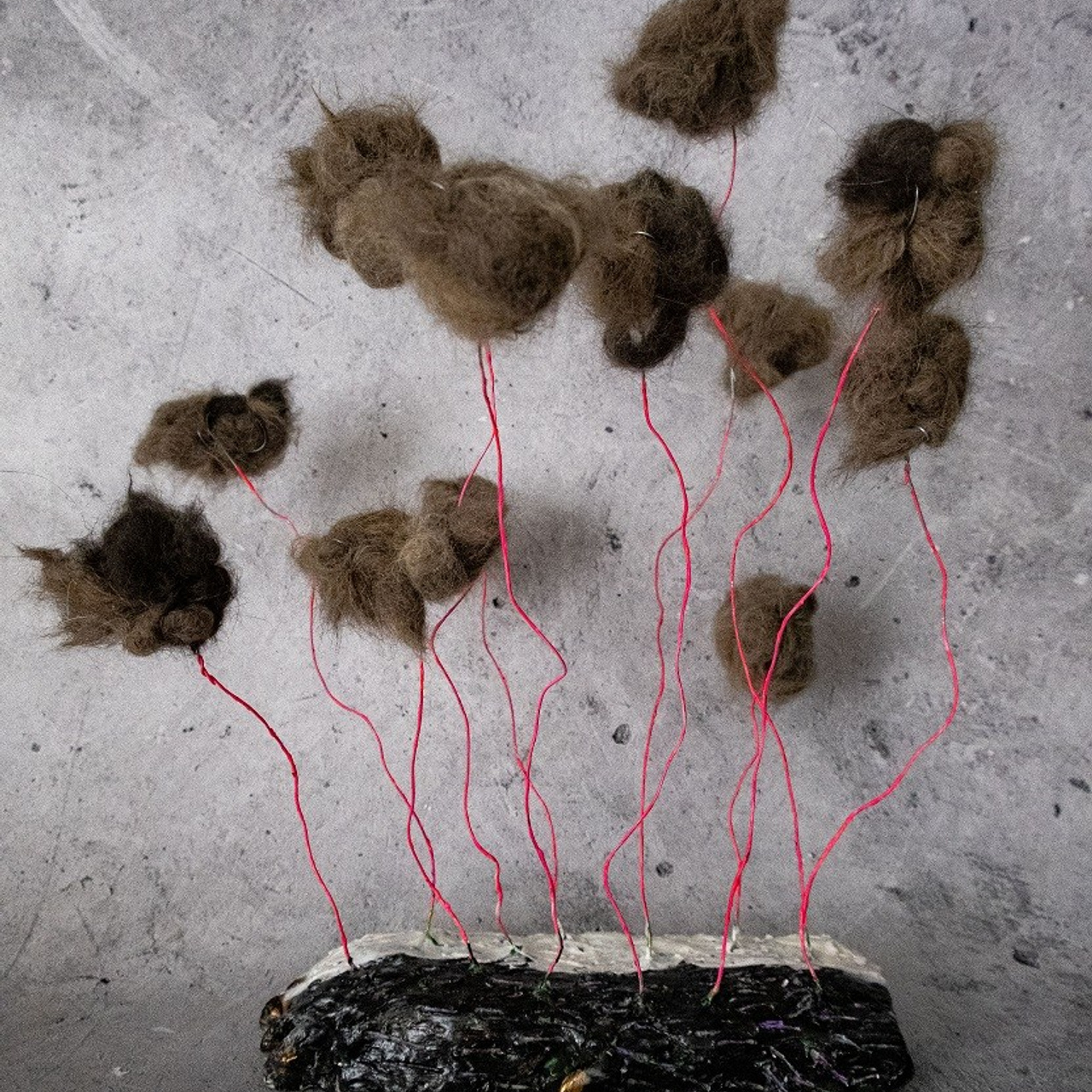 Инсталляция "Меховые цветы" для персональной выставки "Меховые цветы и ...", 2025 год. Материал: самозатвердевающая глина, проволока, акрил, шерсть котов автора.