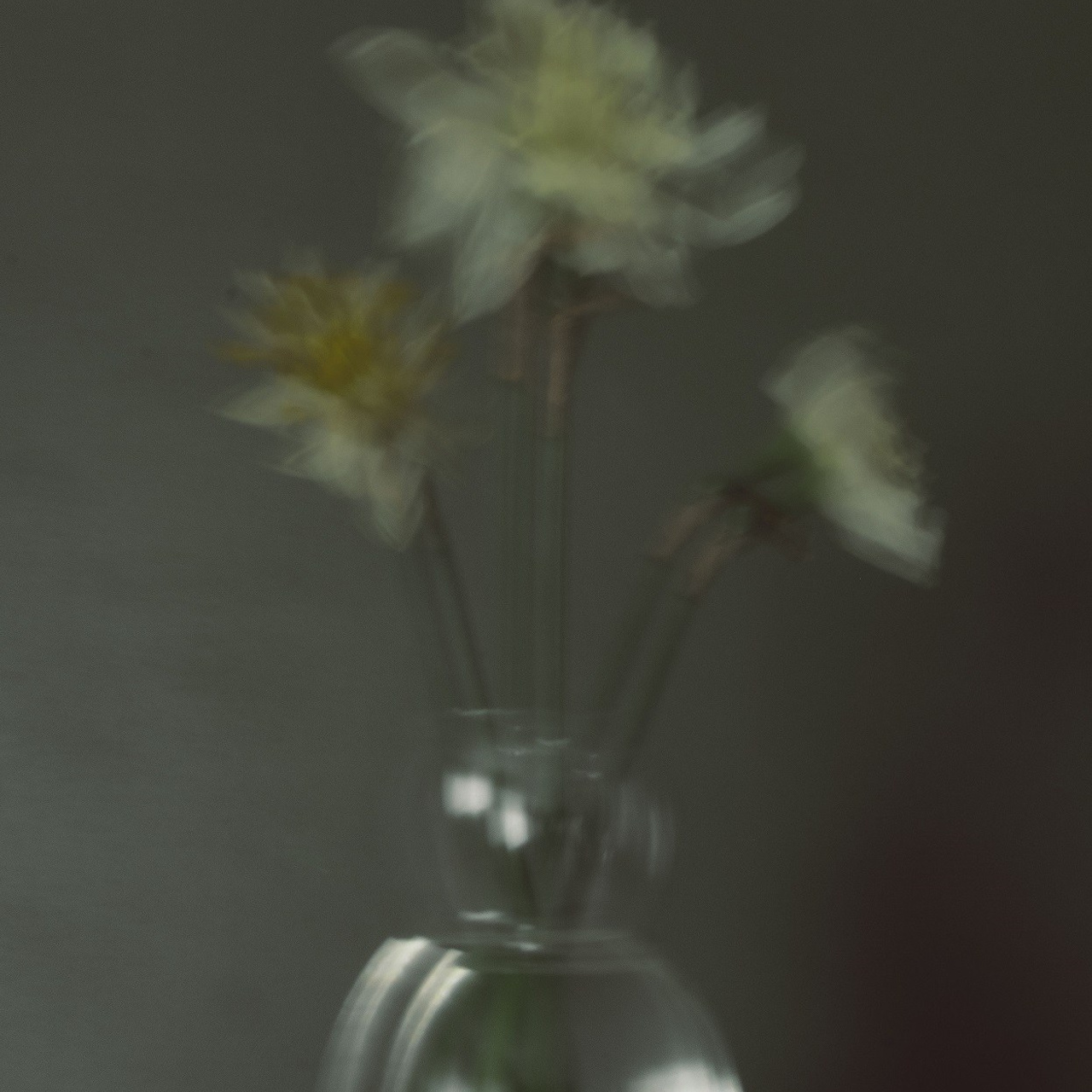 #1, серия "Нарциссы", цифровая печать, ограниченный тираж, 2025