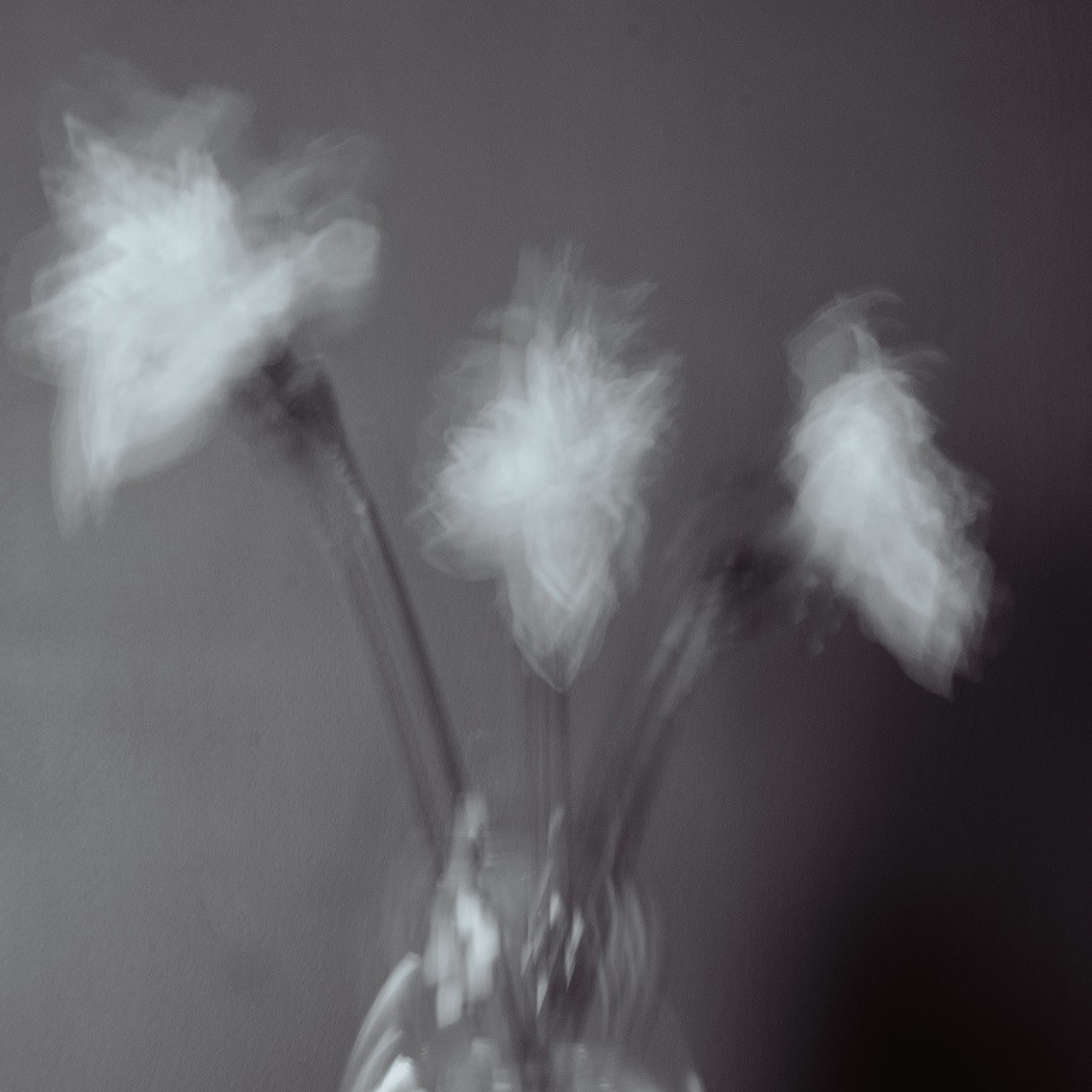 #2, серия "Нарциссы", цифровая печать, ограниченный тираж, 2025