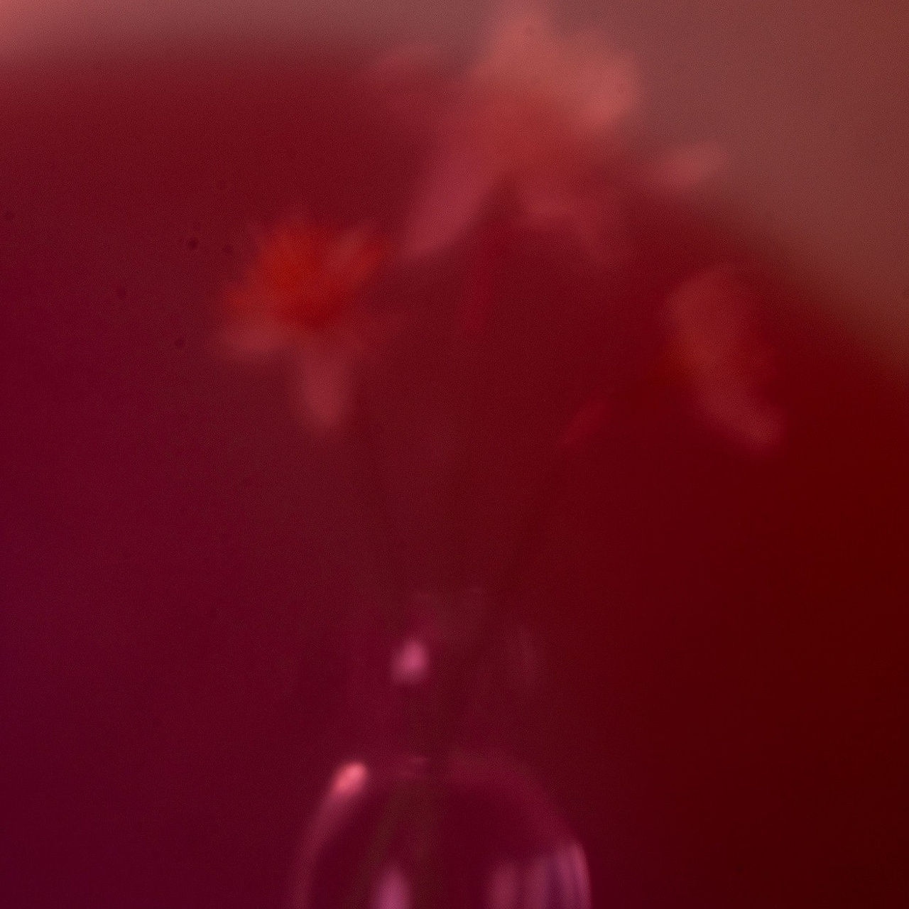 #4, серия "Нарциссы", цифровая печать, ограниченный тираж, 2025