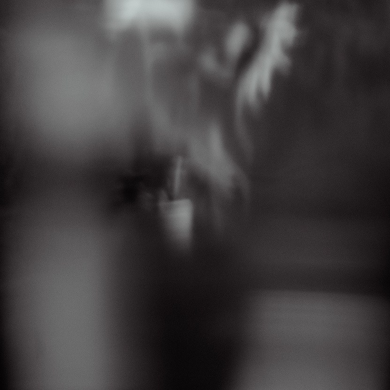 #6, серия "Подсолнухи", цифровая печать, ограниченный тираж, 2024.