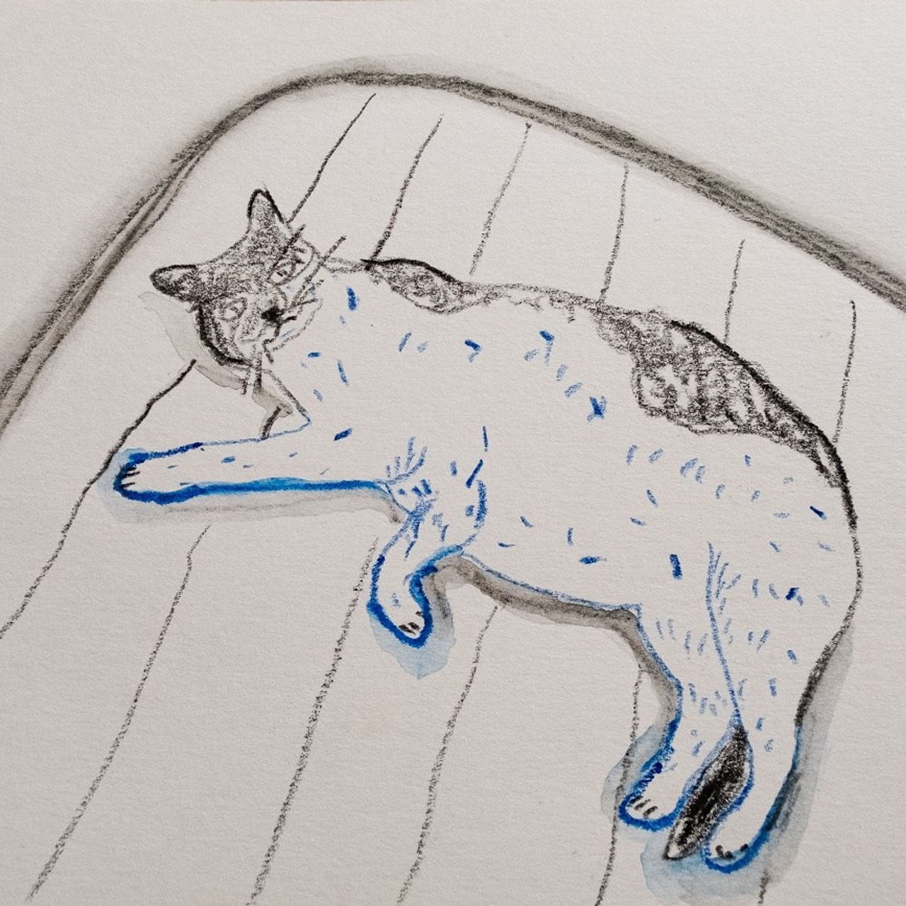 Из серии «Коськи». Художник, фотограф Ирина Тен