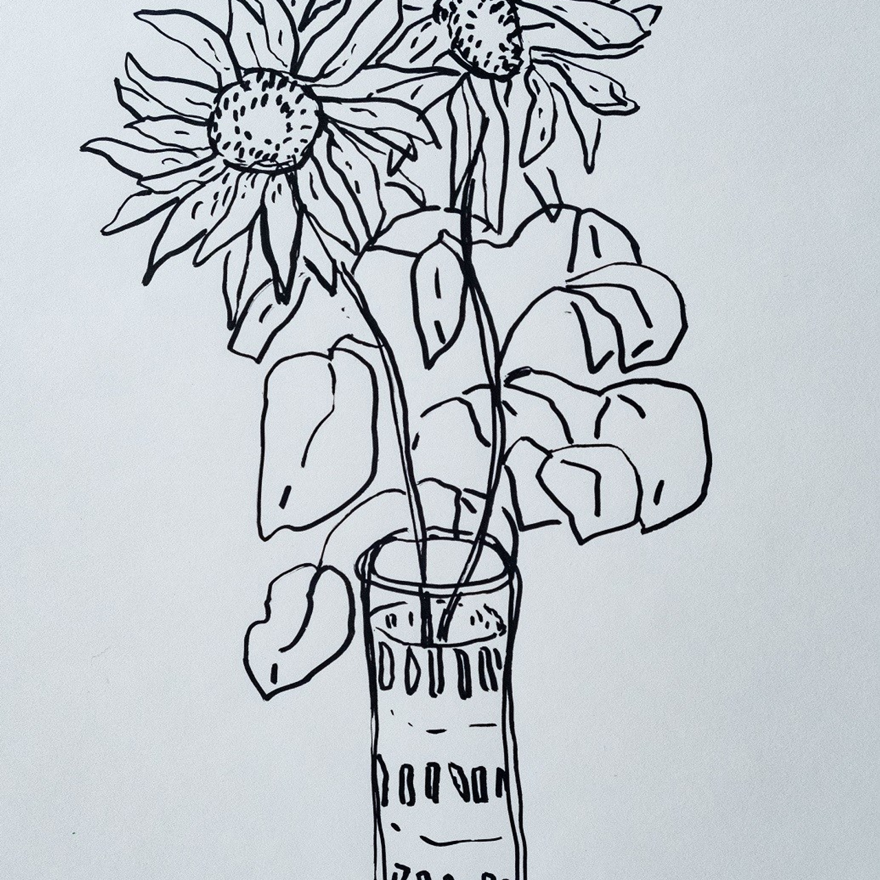 Подсолнухи, бумага, маркер, 21х29,7, 2024.