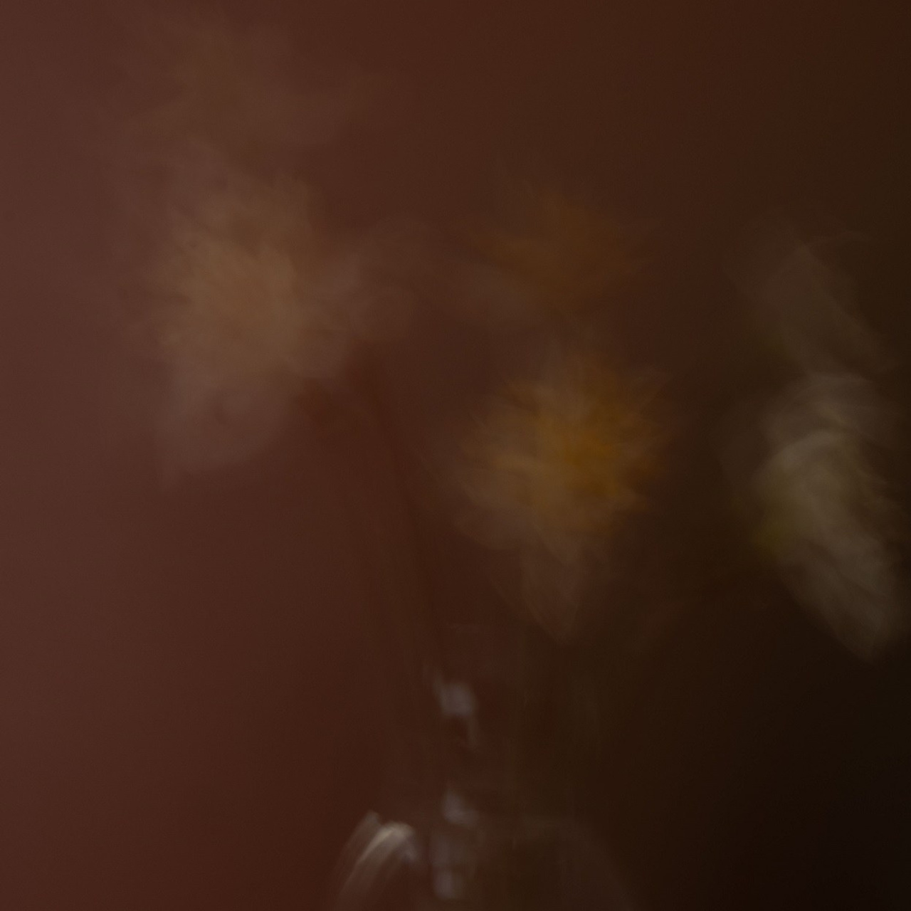 #5, серия "Нарциссы", цифровая печать, ограниченный тираж, 2025