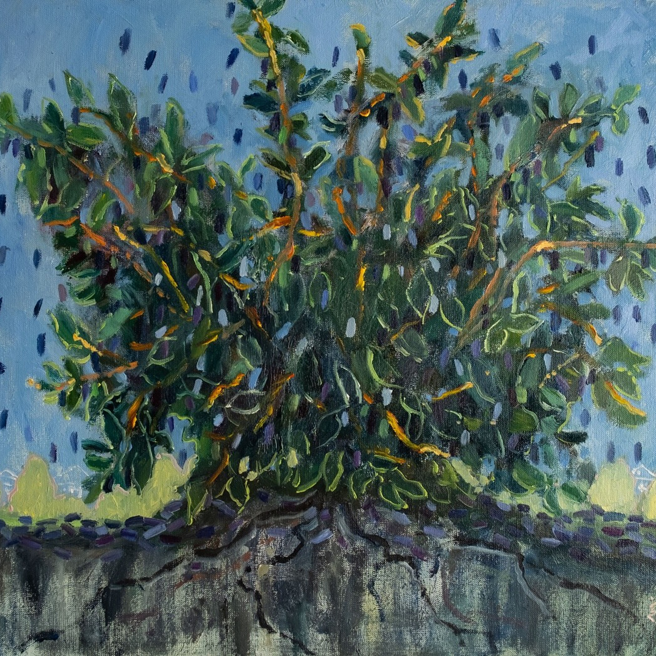 Кладезь витаминов. Жимолость. Холст, масло, 50х60, 2025.