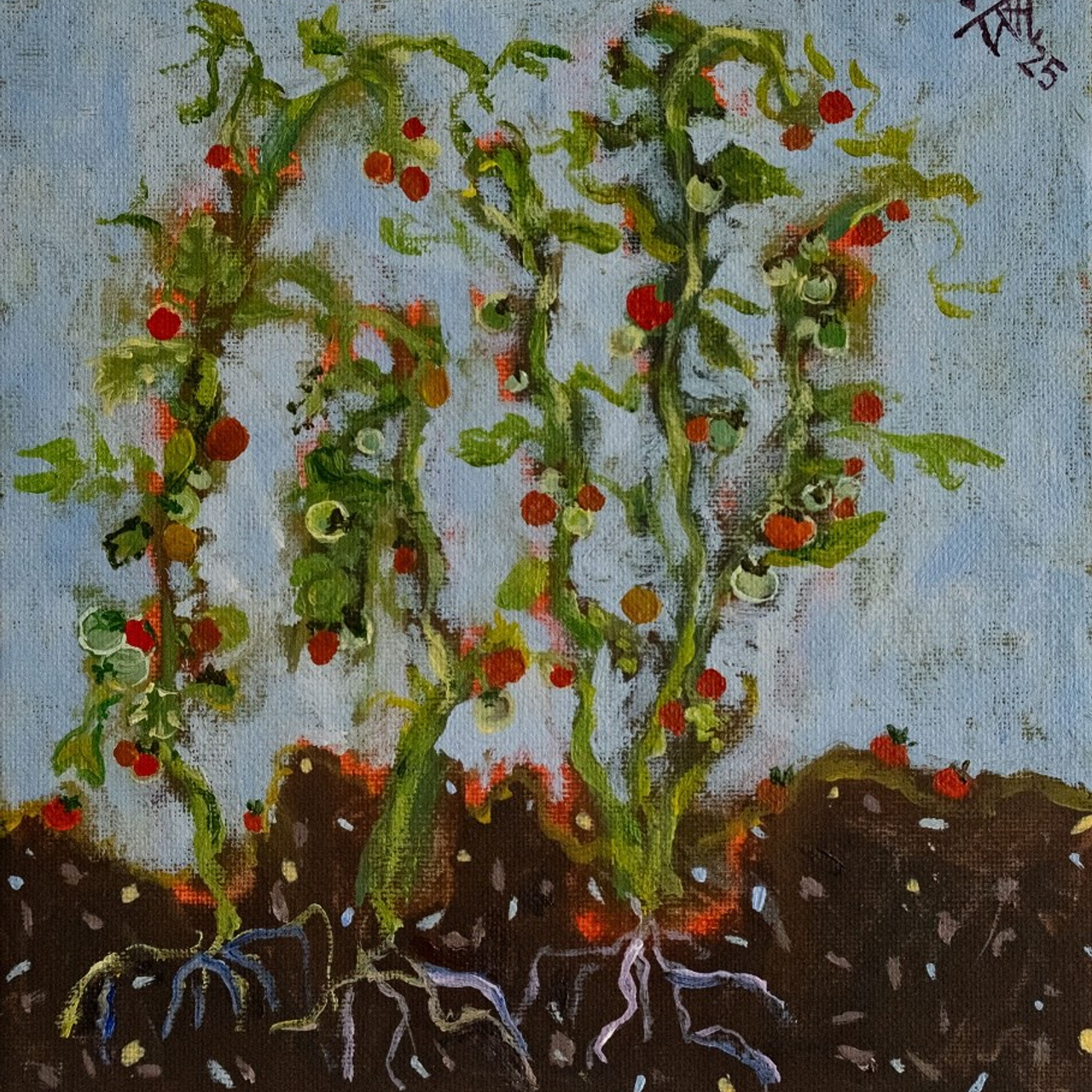 Помидоры Челнок. Холст, темпера, акрил, 20х20, 2025.