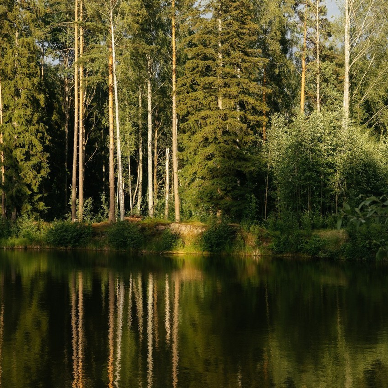 Отзывы. Фотограф Serg-Epic — Сергей Клепиков