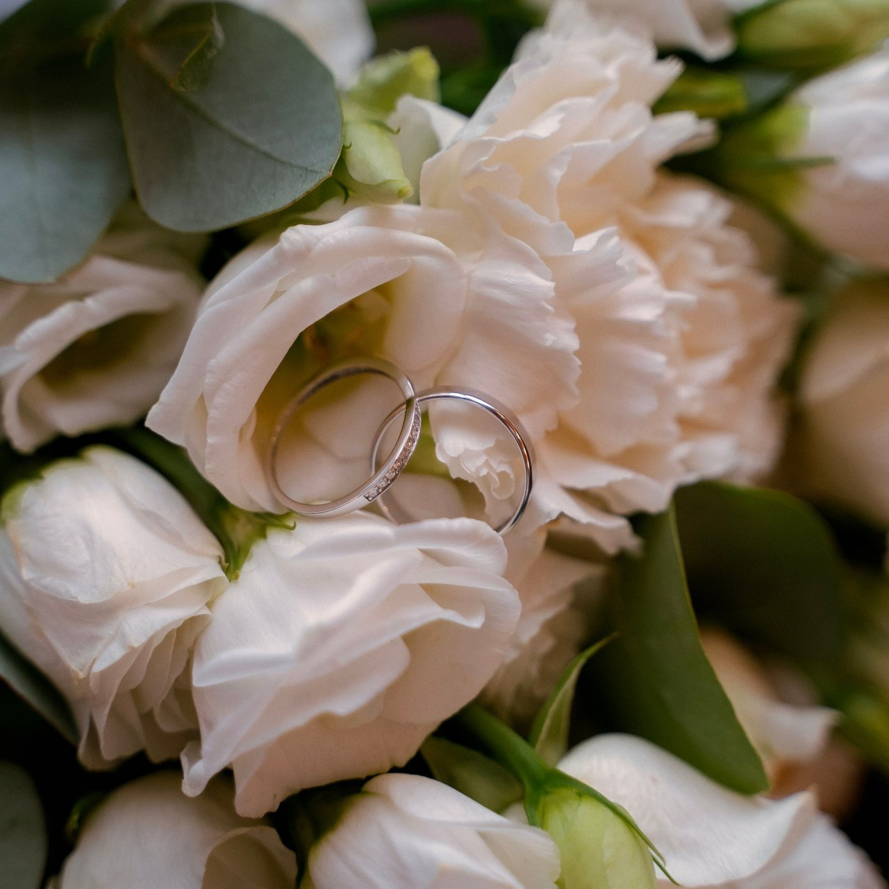 Отзывы. Фотограф в Санкт-Петербурге Ковалевская Ева