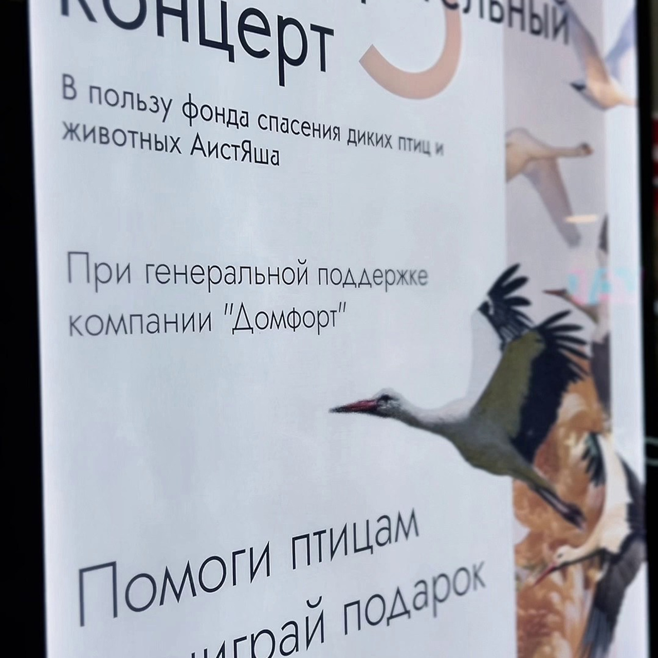 Отзывы. Свадебный фотограф в Смоленске Анна Казакова. Свадебные фотосессии, лавстори (Love Story) и выездные съемки по всей России