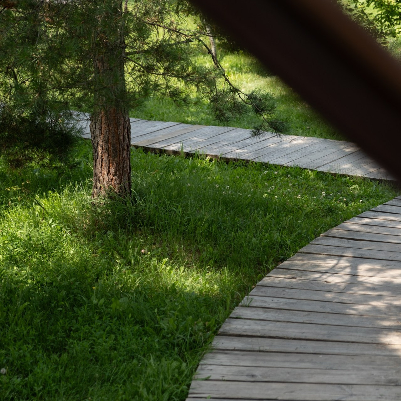 Отзывы. Фотограф Саранск Ирина Шишкина, все виды съемок