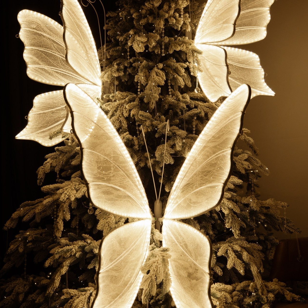 Отзывы. Фотограф Саранск Ирина Шишкина, все виды съемок