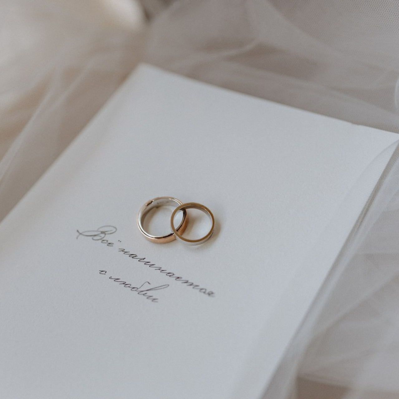 Отзывы о фотографе Ольги Шевелёвой. Свадебный и репортажный фотограф Ольга Шевелёва