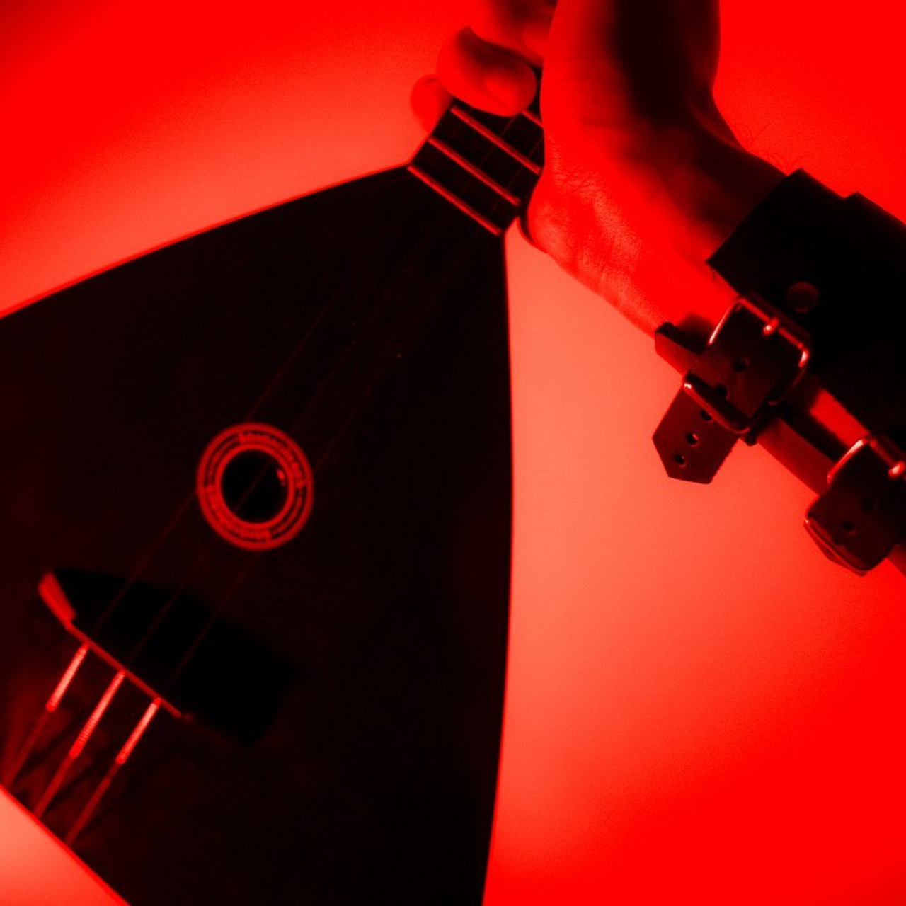 Отзывы. Репортажный фотограф в Санкт-Петербурге Евдокимова Ольга