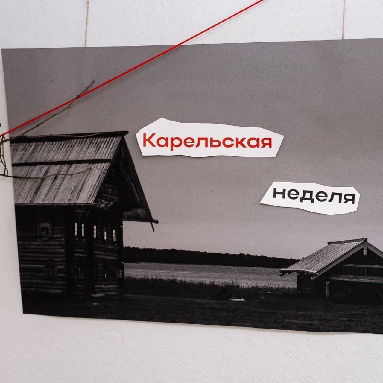 Отзывы. Репортажный фотограф в Санкт-Петербурге Евдокимова Ольга