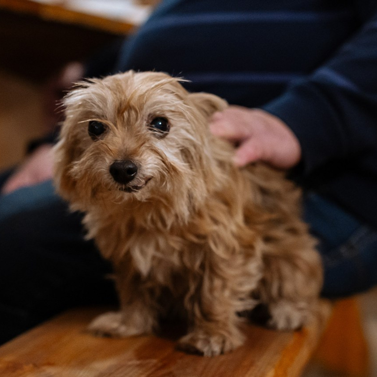 Отзывы. Репортажный фотограф в Санкт-Петербурге Евдокимова Ольга