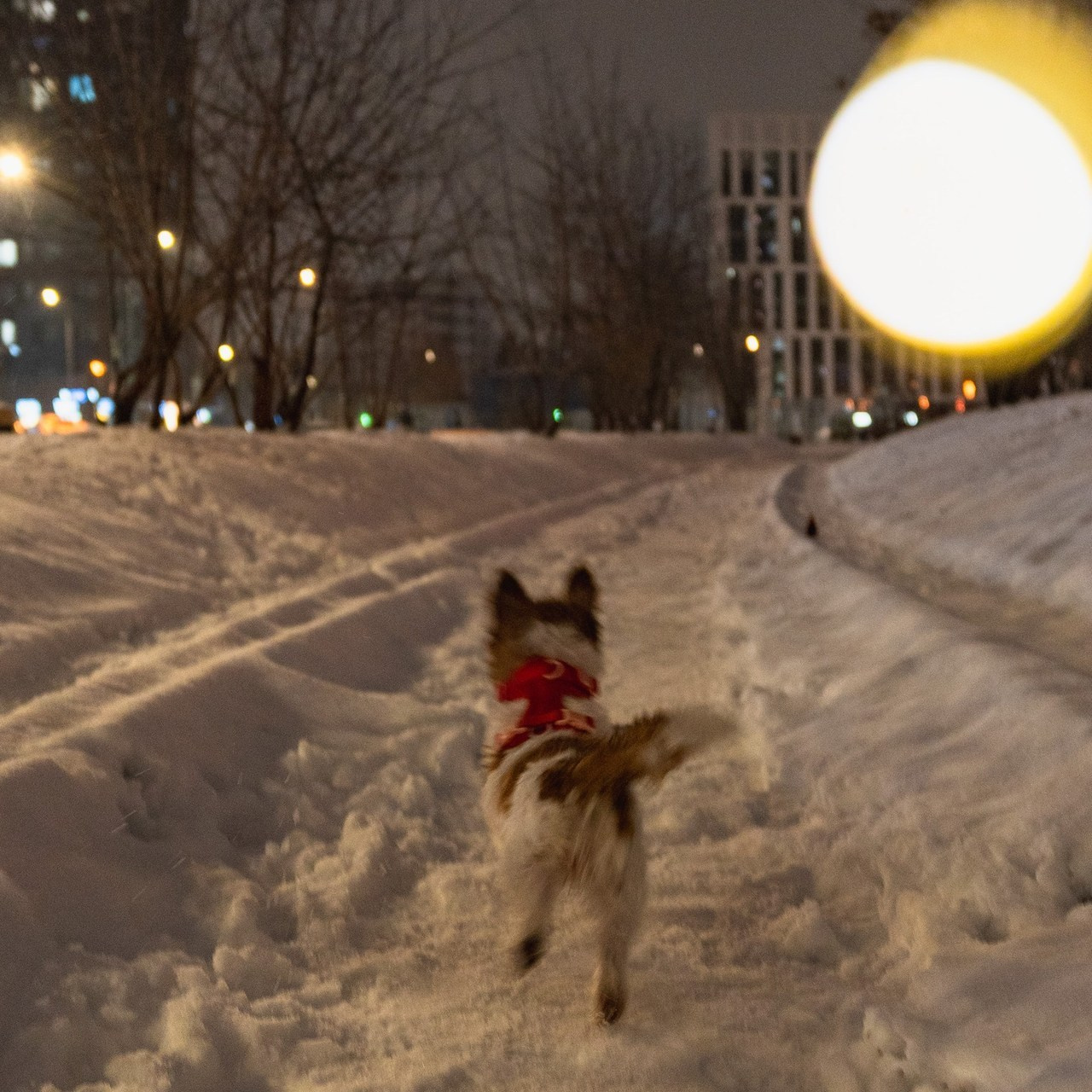 Отзывы. Фотограф в Москве Лера Голубенко