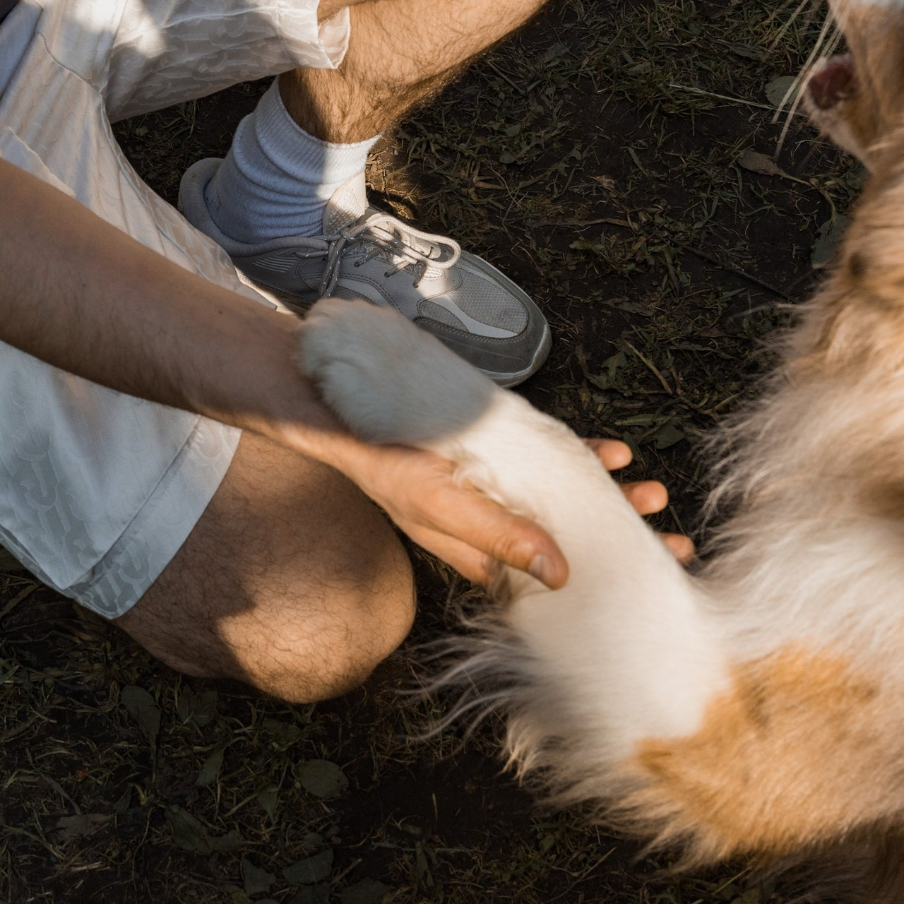 Отзывы. Фотограф в Москве Лера Голубенко