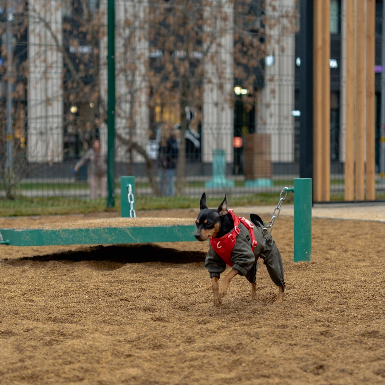 Отзывы. Фотограф в Москве Лера Голубенко