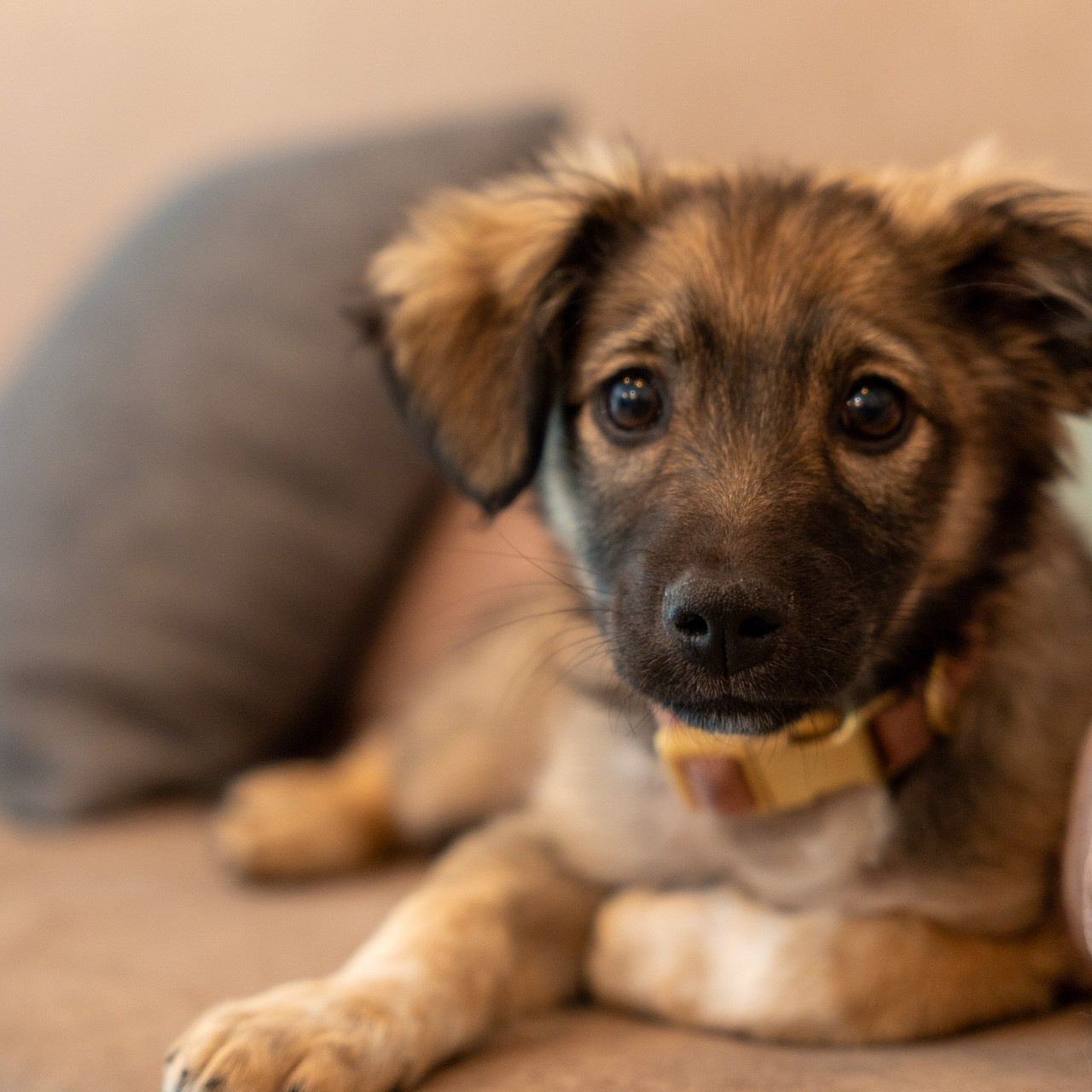 Отзывы. Фотограф в Москве Лера Голубенко