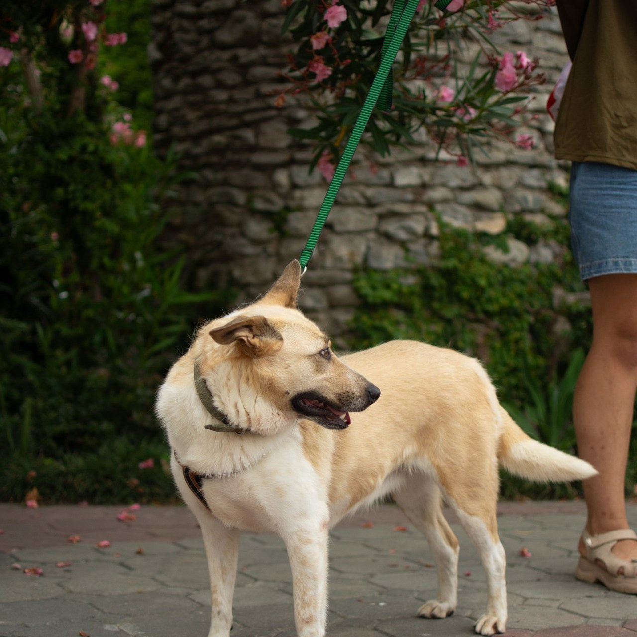 Отзывы. Photographer Lea Tsaawa