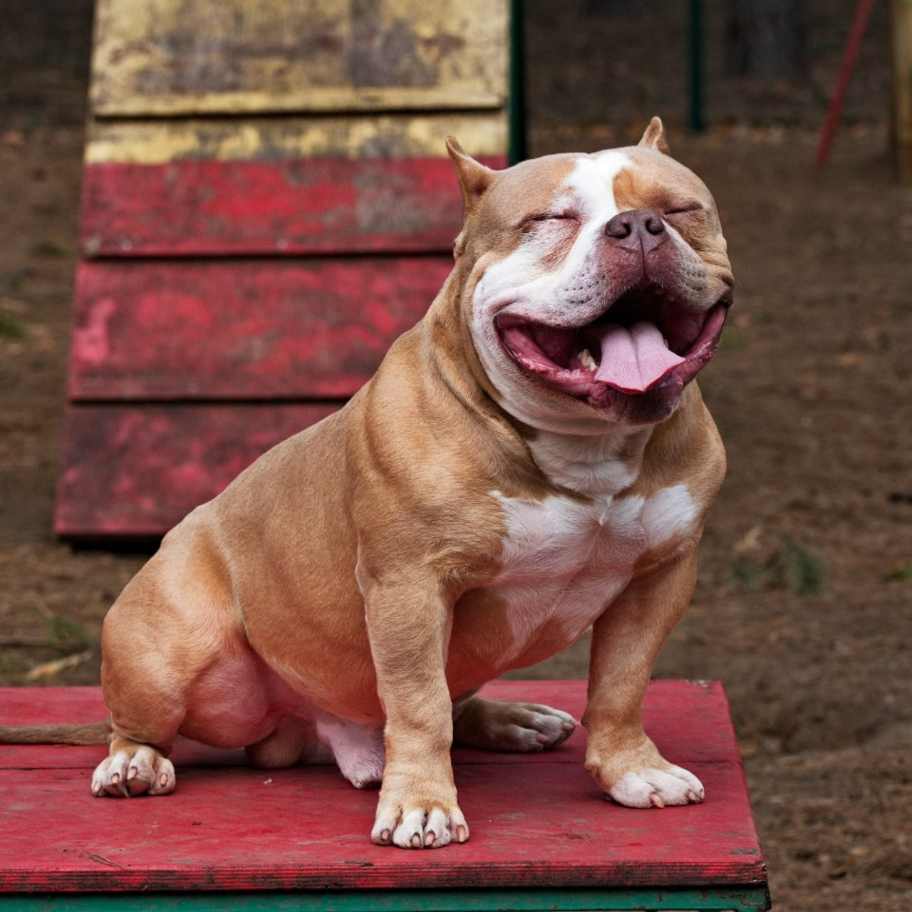 Отзывы. Свадебный и семейный фотограф, видеограф. Живу в городе Нефтекамске, Б
