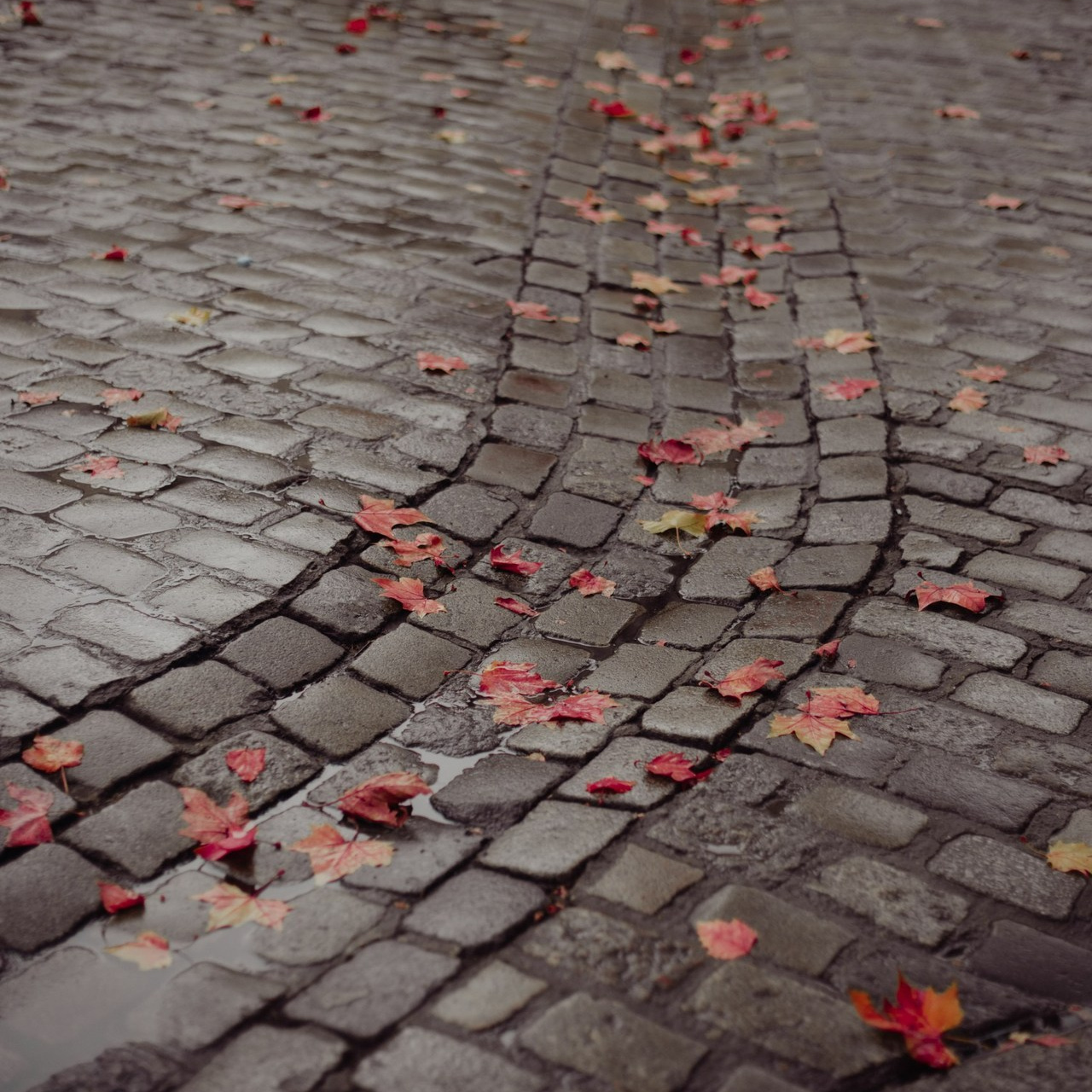 Отзывы. Katya Panova