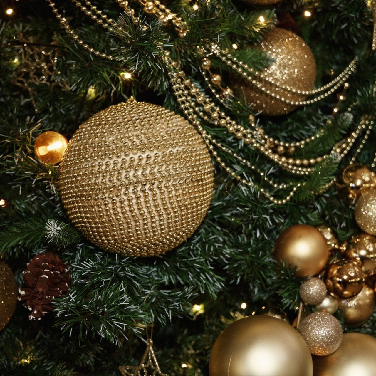 Отзывы. Другой взгляд на фотографию