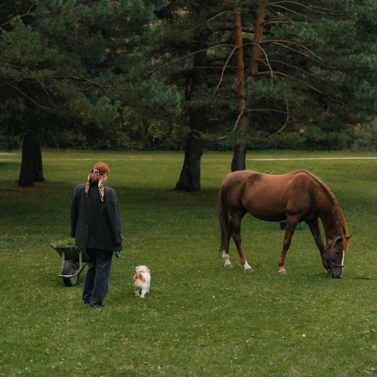 Отзывы. Семейный, портретный фотограф Новосибирск. Оля Адова