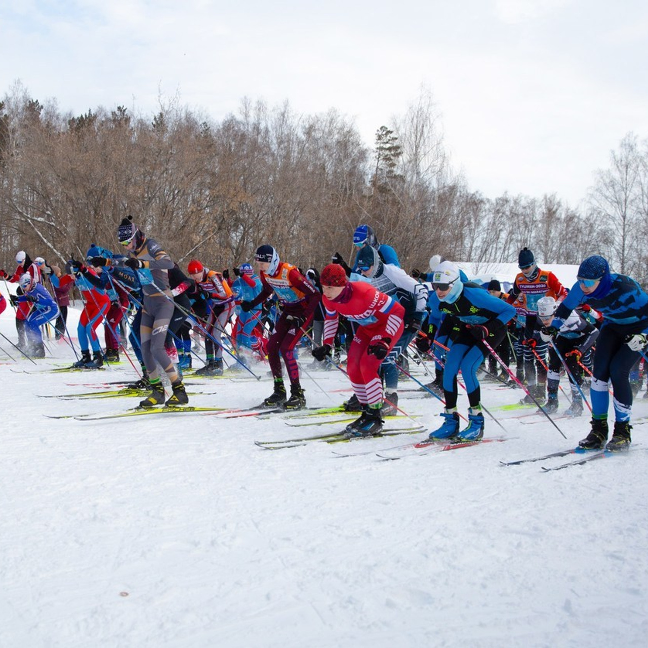 Отзывы. Мой фотомир