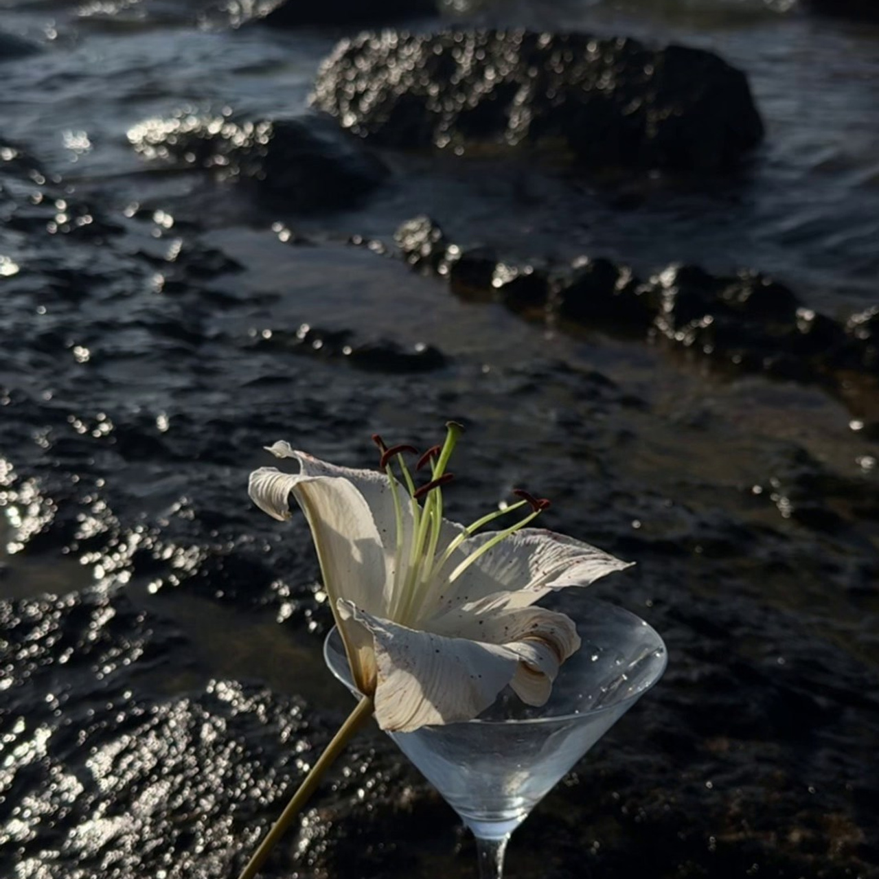 Отзывы о фотографе в Аликанте | Реальные впечатления клиентов. Фотограф в Аликанте СветЛана Константинова