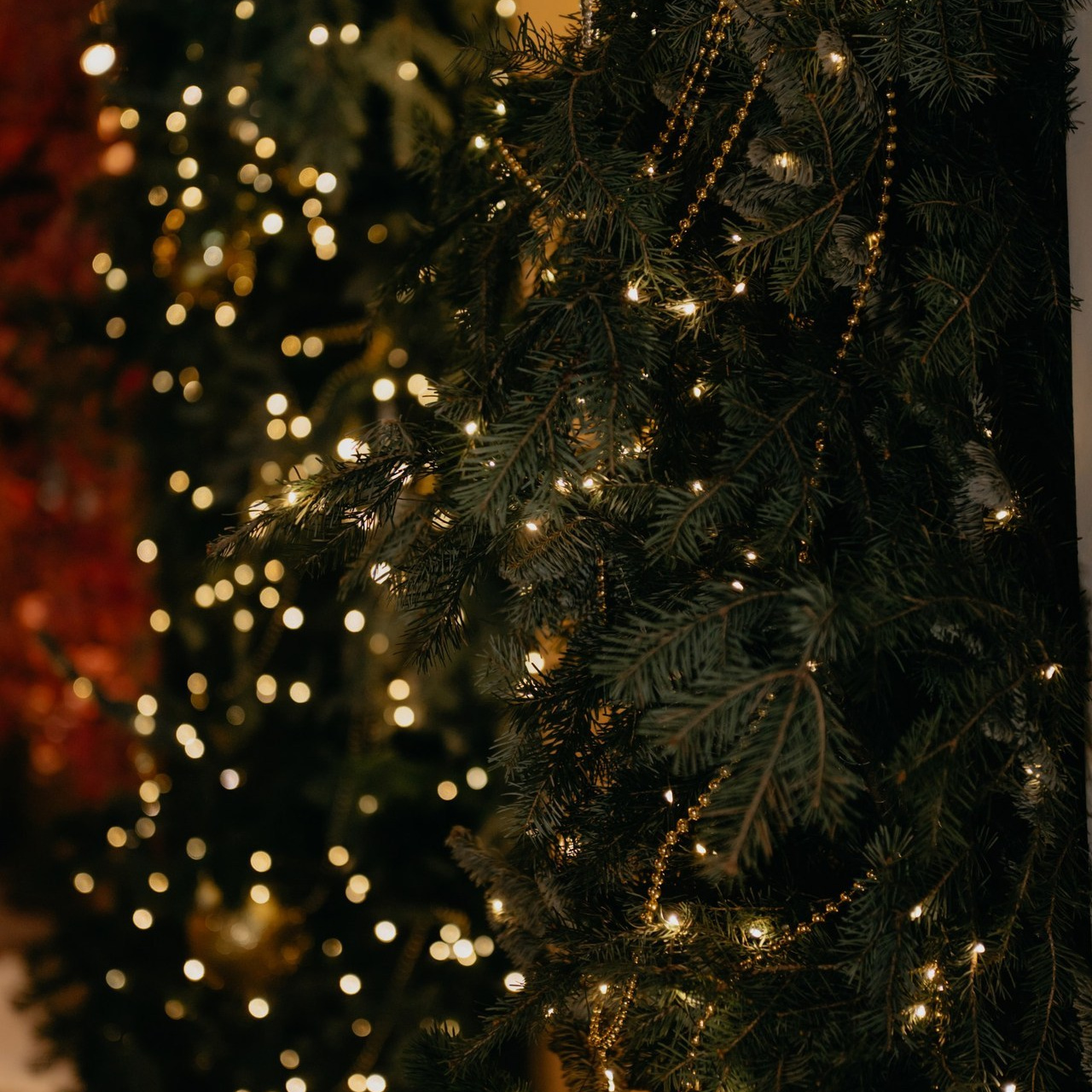 Отзывы. Фотограф Зырянова Яна, Снежинск, Екатеринбург, Челябинск