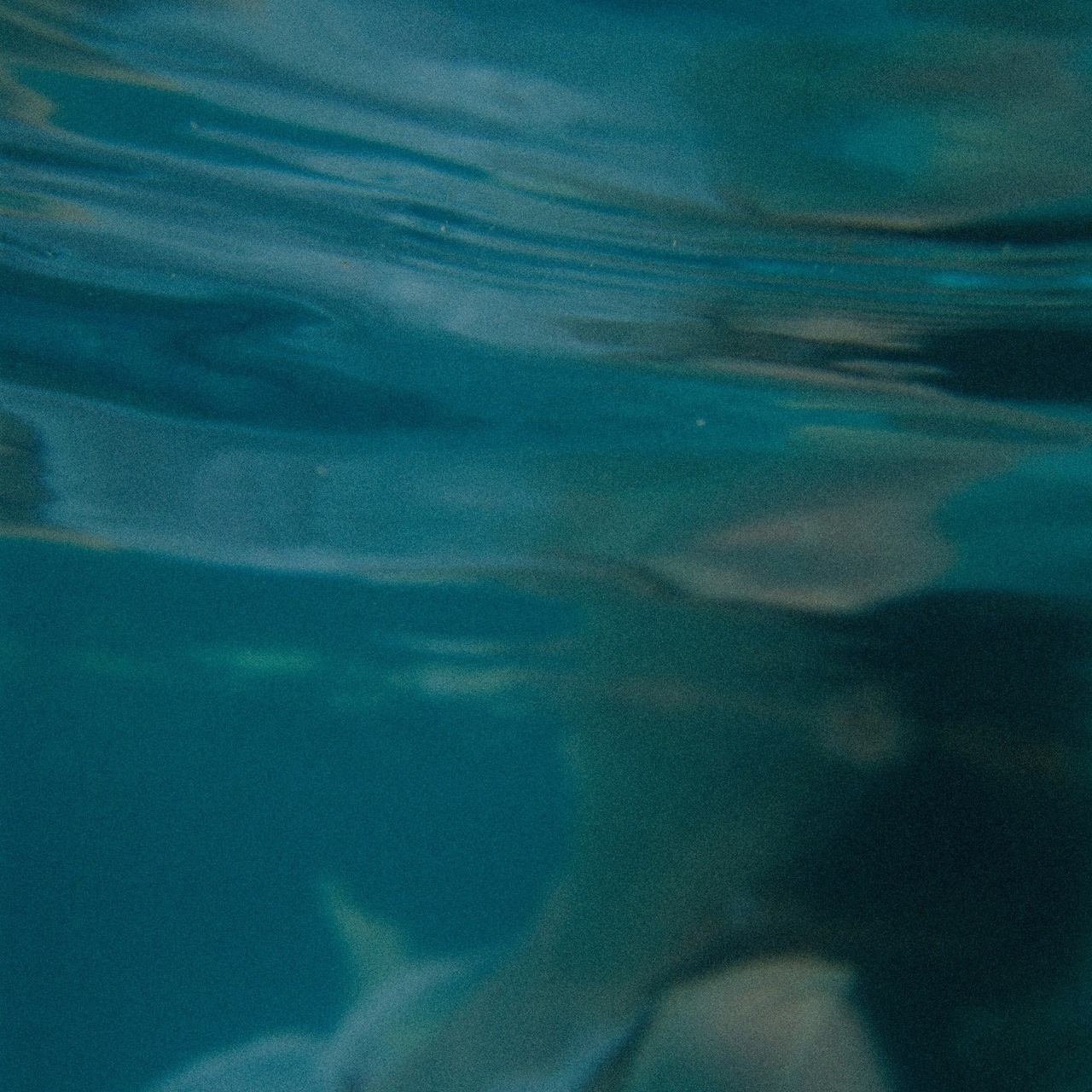 Марина Барс фотограф в городе Сочи. Фотограф в Сочи Марина Барс