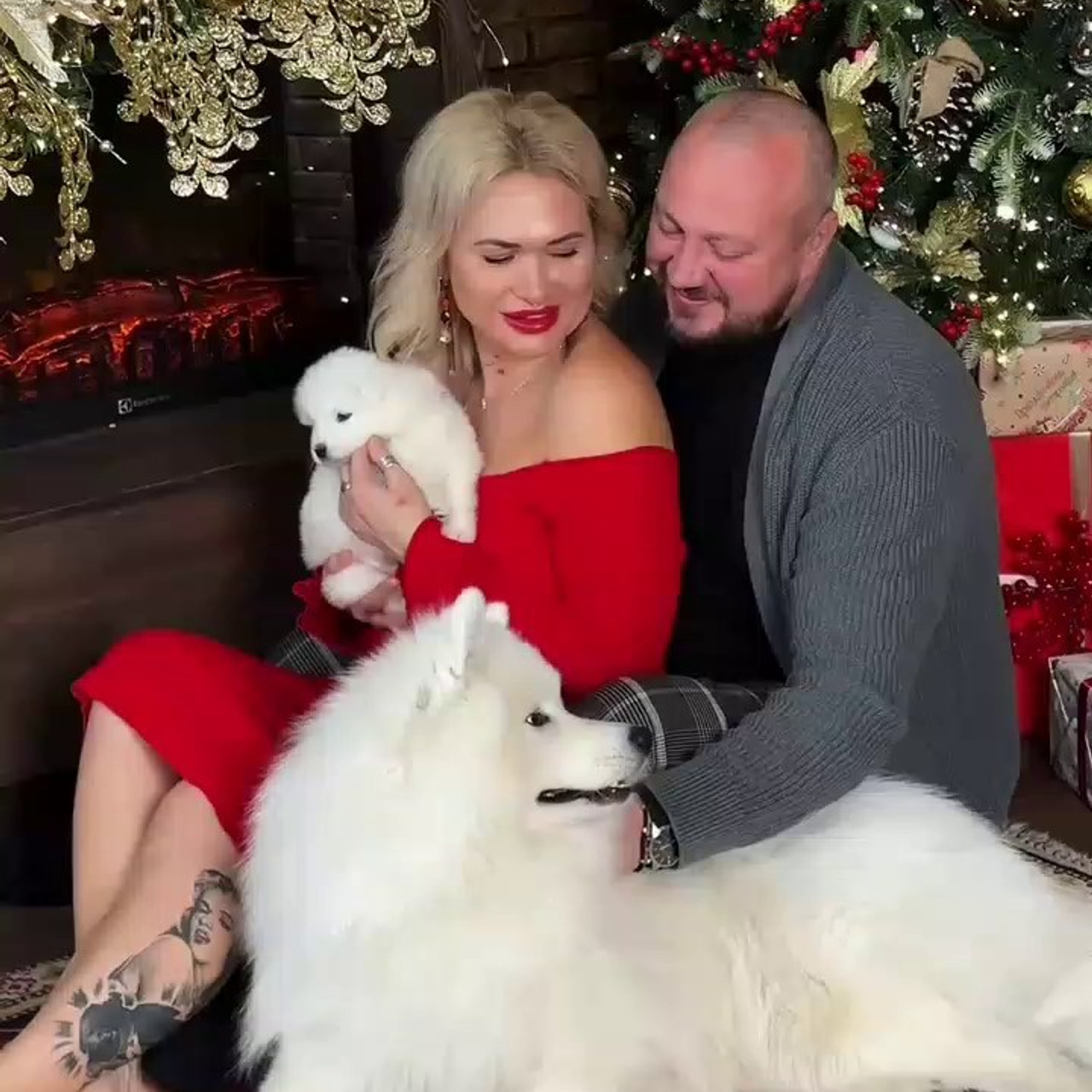 Новогодняя фотосессия. Самоед Новосибирск