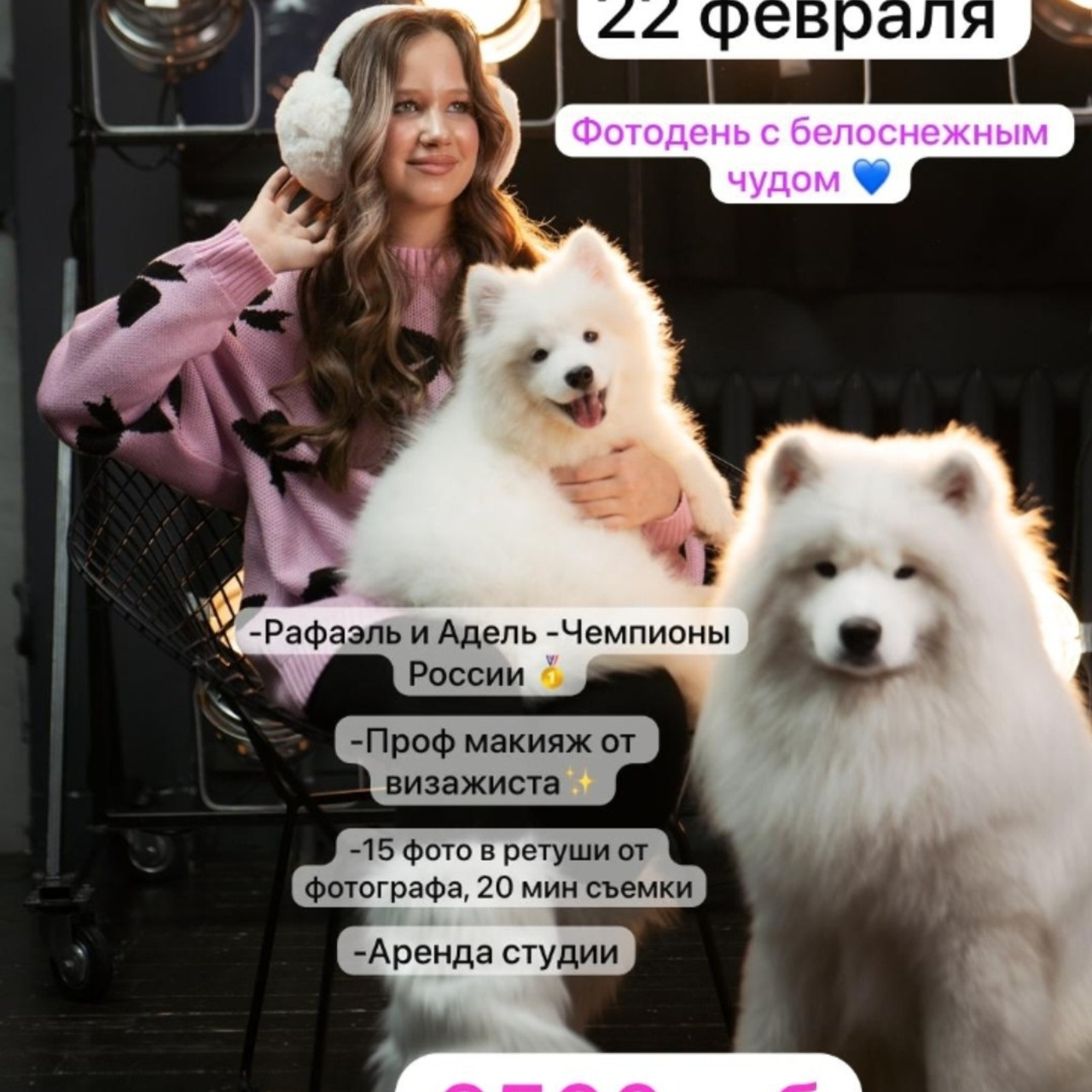 Новогодняя фотосессия. Самоед Новосибирск