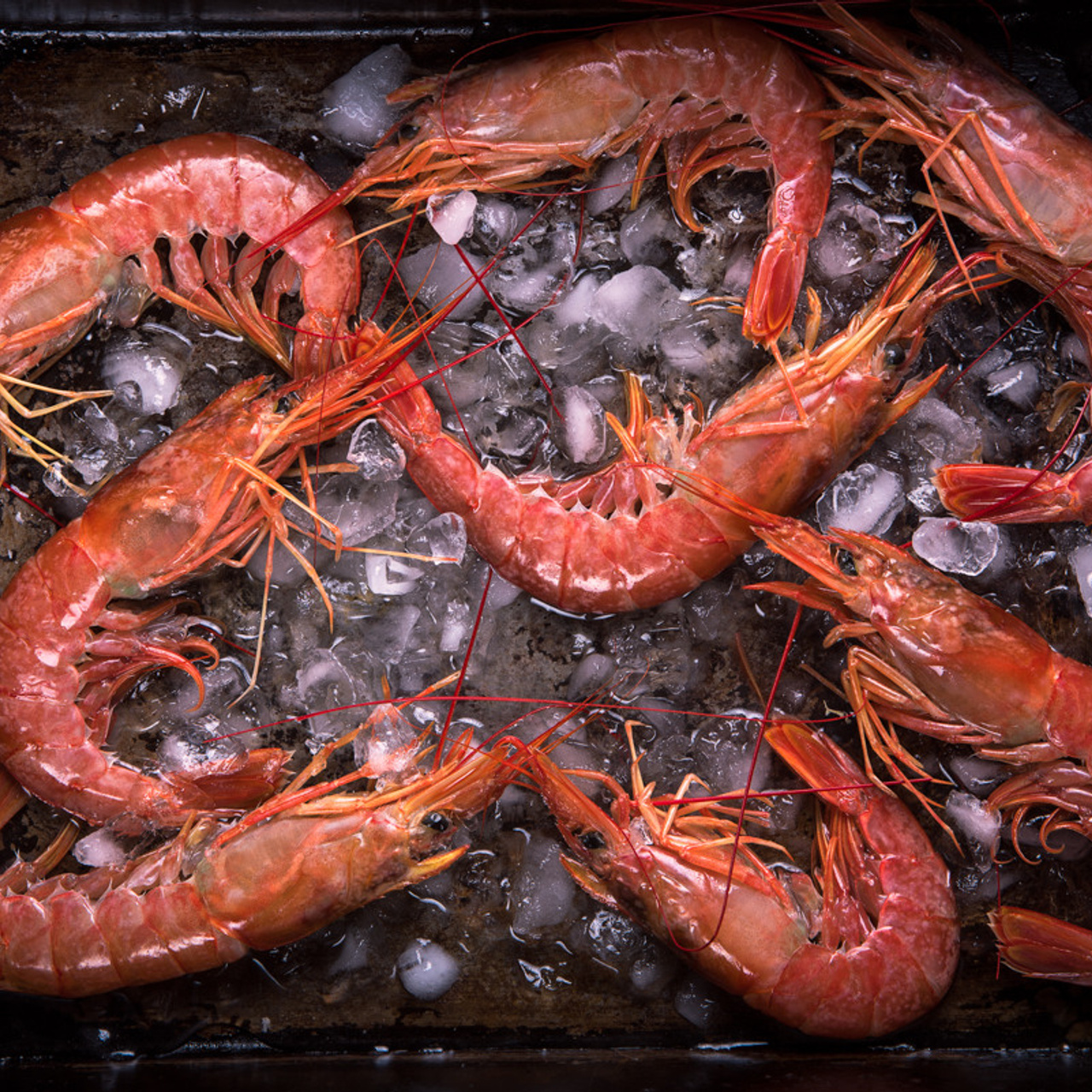 РЫБА и МОРЕПРОДУКТЫ. Фуд фотограф в Москве Коломыченко Максим