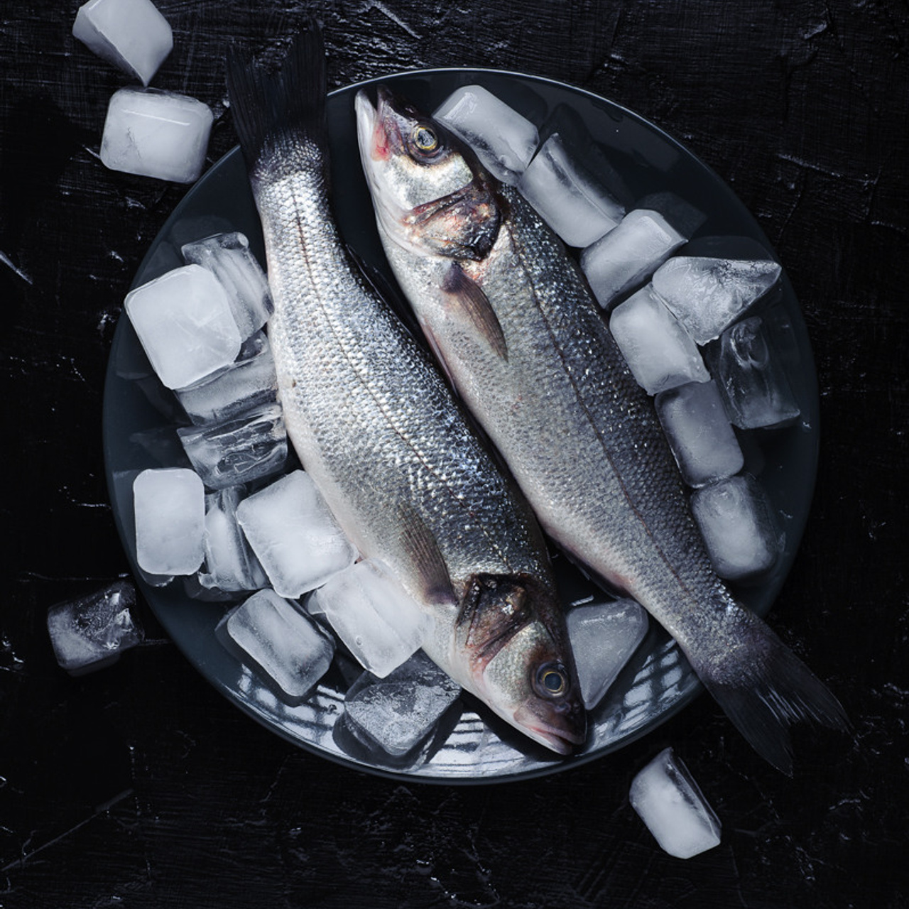 РЫБА и МОРЕПРОДУКТЫ. Фуд фотограф в Москве Коломыченко Максим