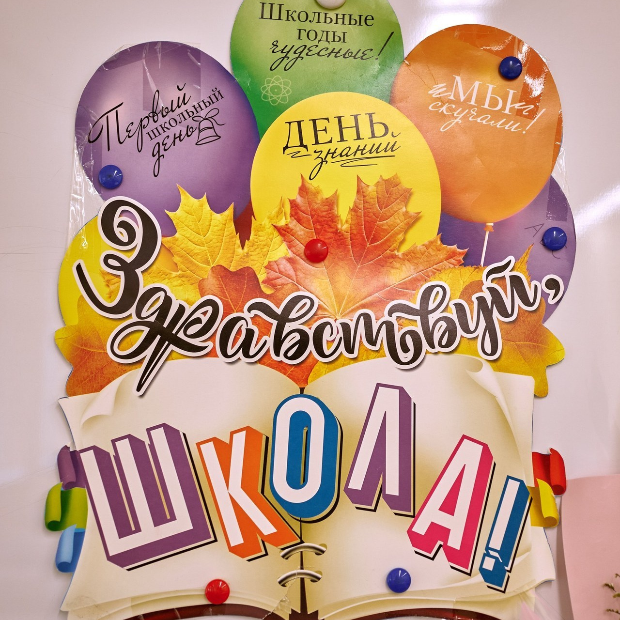 Отзывы. Фотограф в г. Нижневартовск Александра Гриценко