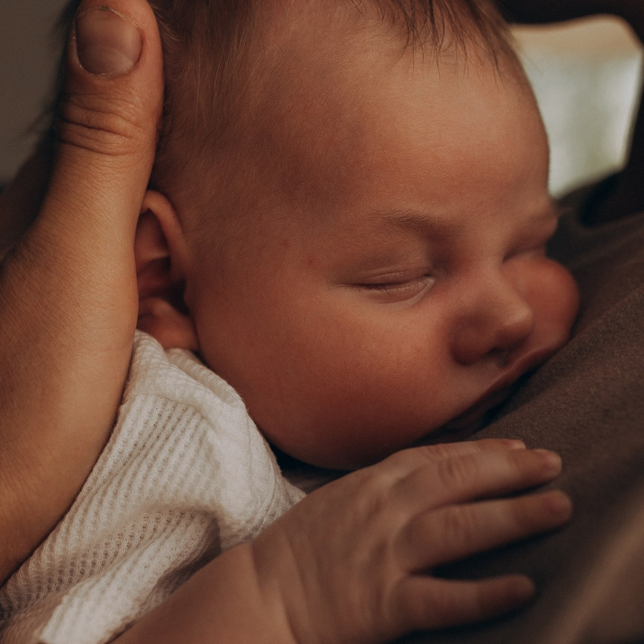 Отзывы. Фотограф Катя Курк семейная lifestyle фотография