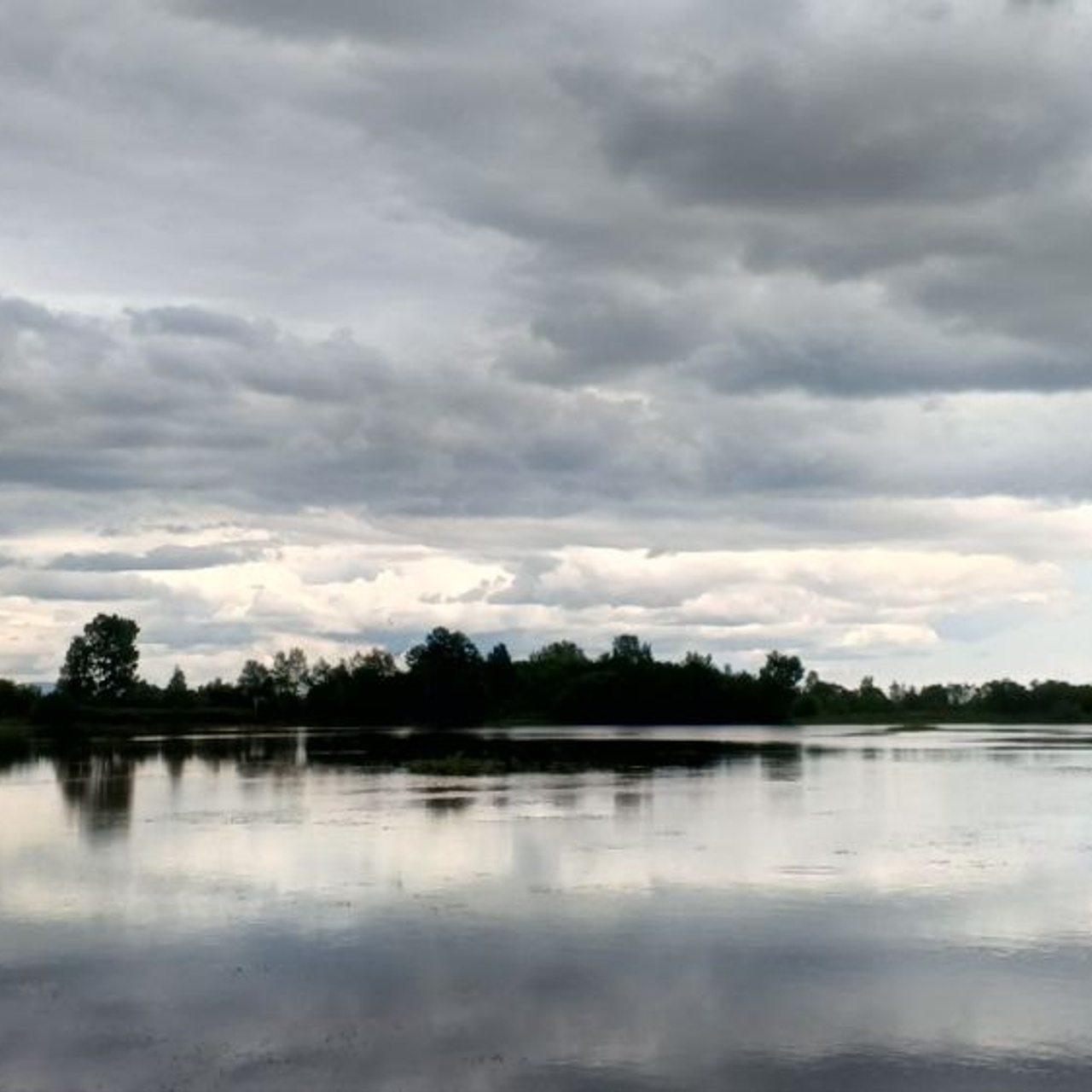 Отзывы. O Vorobey — «Сфоткай»