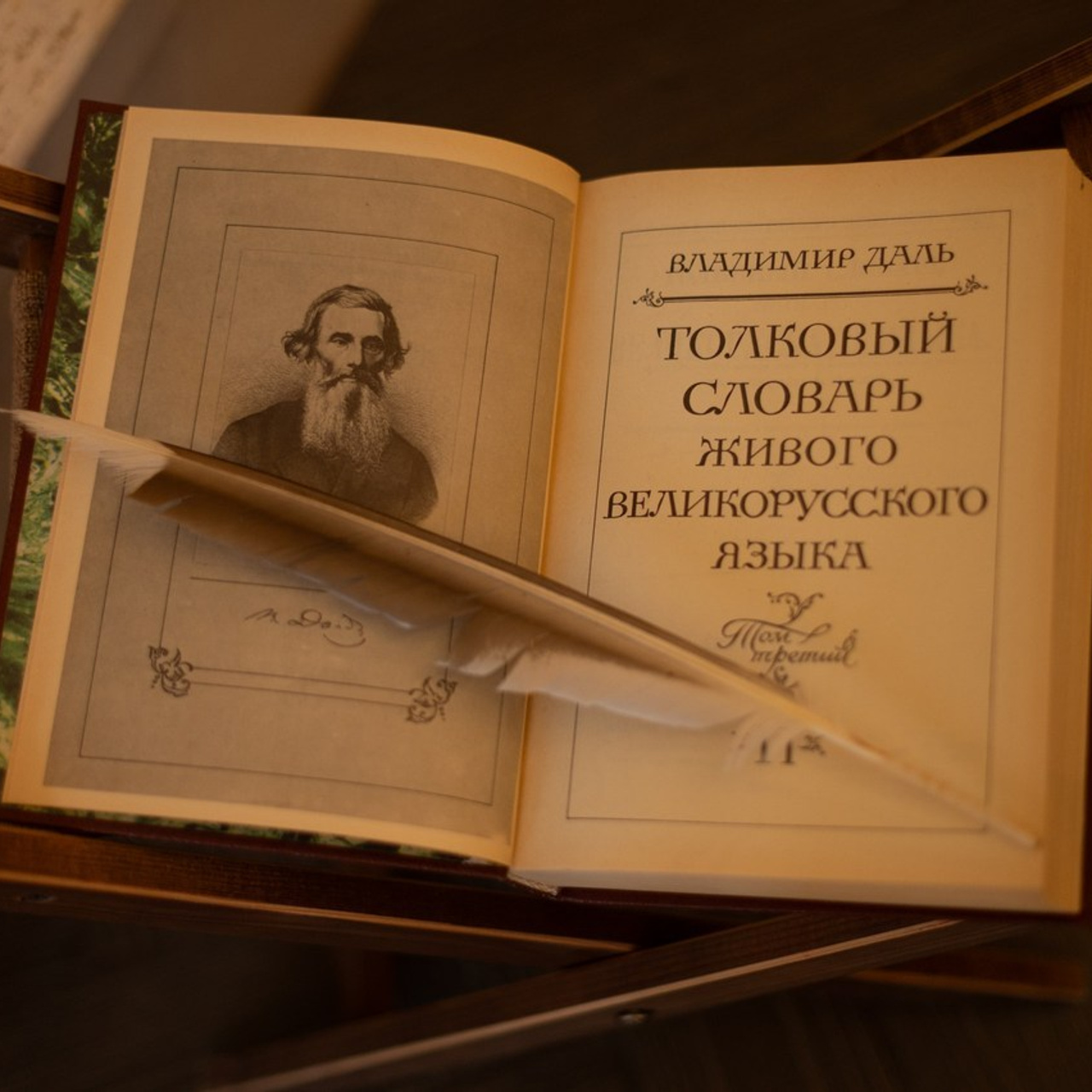 Отзывы. Детский и семейный фотограф в Абхазии