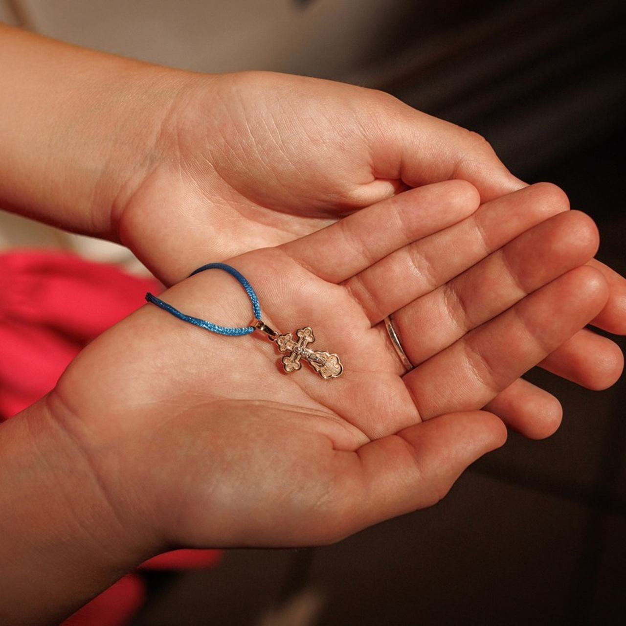 Отзывы. Семейный фотограф Россошь Алла Ктеянц