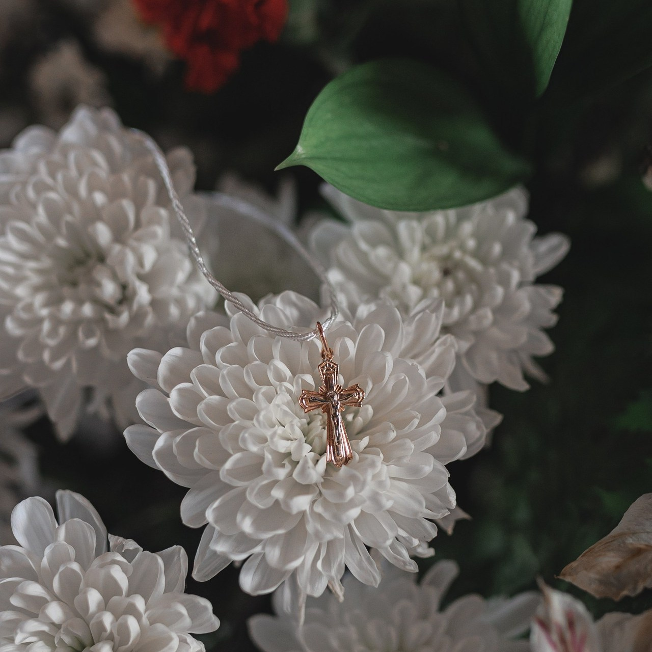 Отзывы. Семейный фотограф Россошь Алла Ктеянц