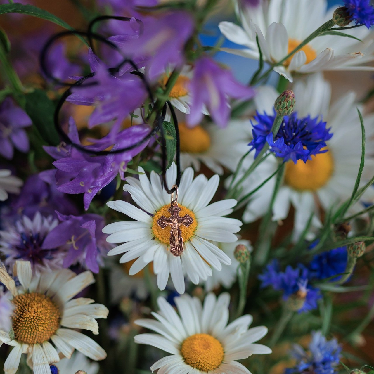 Отзывы. Семейный фотограф Россошь Алла Ктеянц