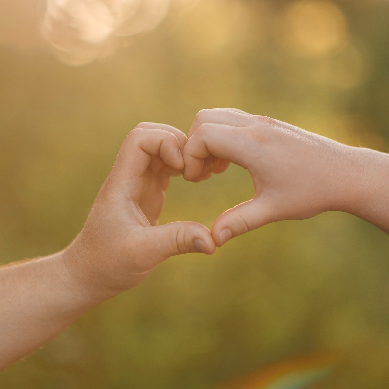 Отзывы. Семейный фотограф Россошь Алла Ктеянц